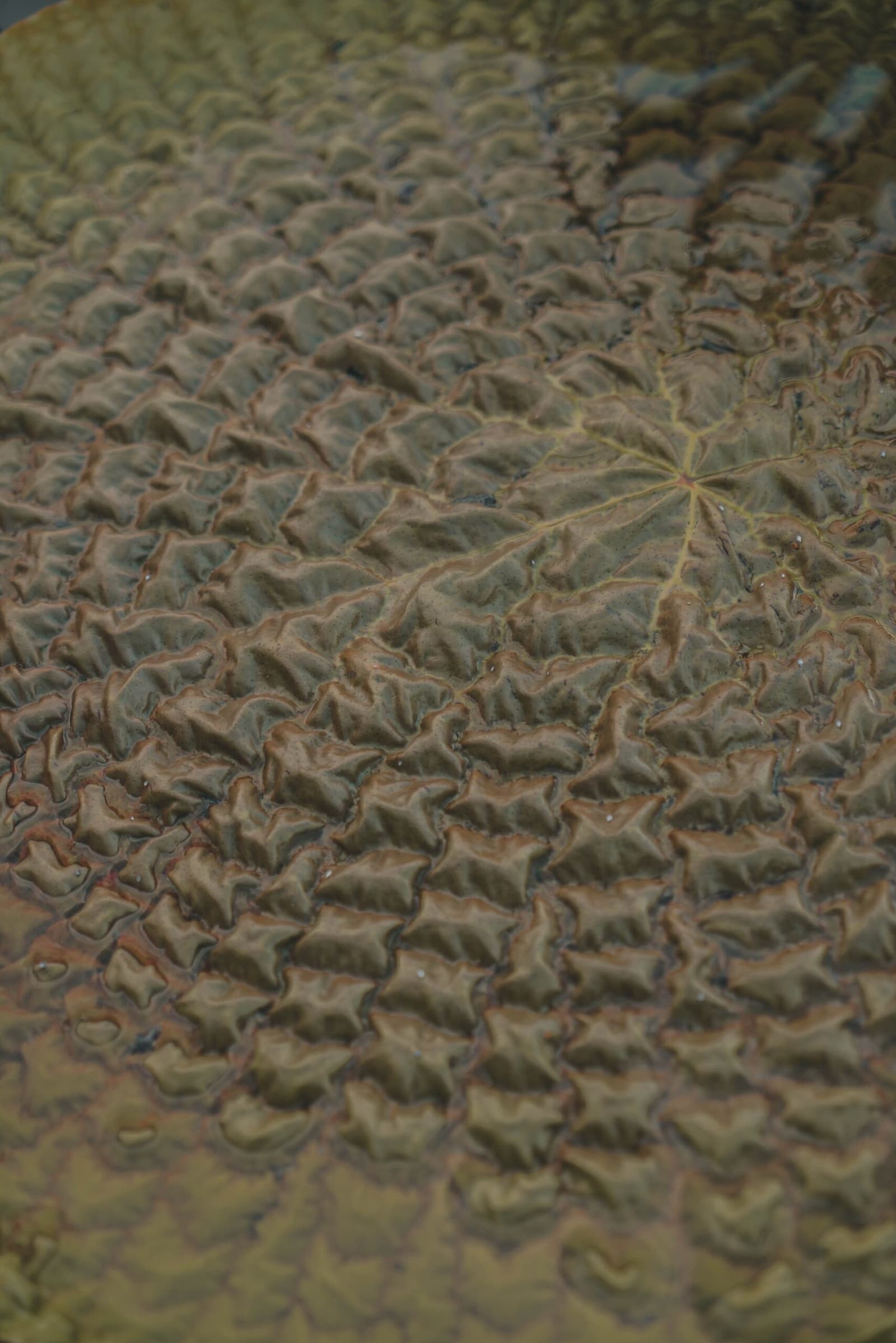 Nature's own topographic map, pressed flat on the water. Photo: Yuri Panichi Photo 9