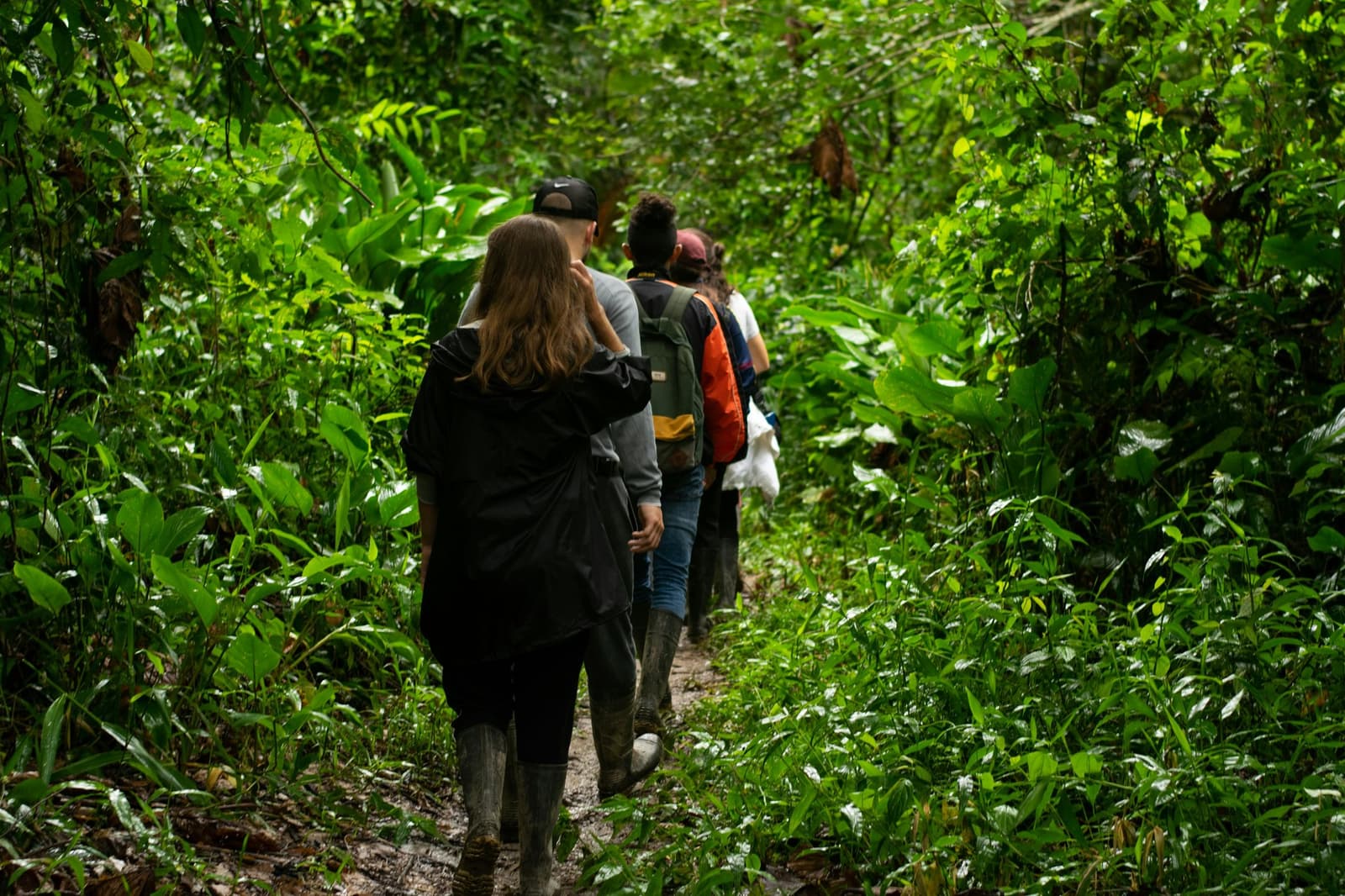 Schmutzige Stiefel, echte Erlebnisse, so funktioniert das hier. Eine kleine Reisegruppe in Gummistiefeln wandert hintereinander auf einem schlammigen Pfad durch dichten grünen Regenwald auf einer Dschungeltour ab Manaus