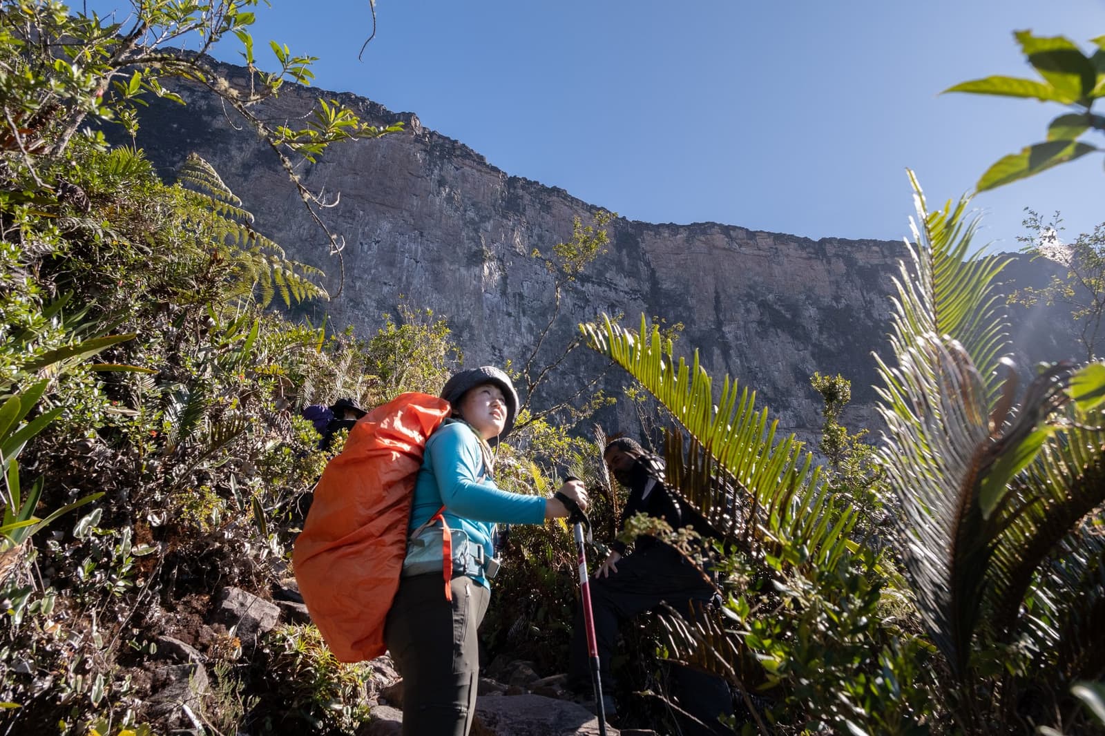 That moment you look up and realize the cliff was bigger than the map suggested. A hiker with a large orange backpack and trekking pole gazes up at a towering vertical tepui escarpment during the Mount Roraima hike, surrounded by bromeliads and ferns under a clear blue sky
