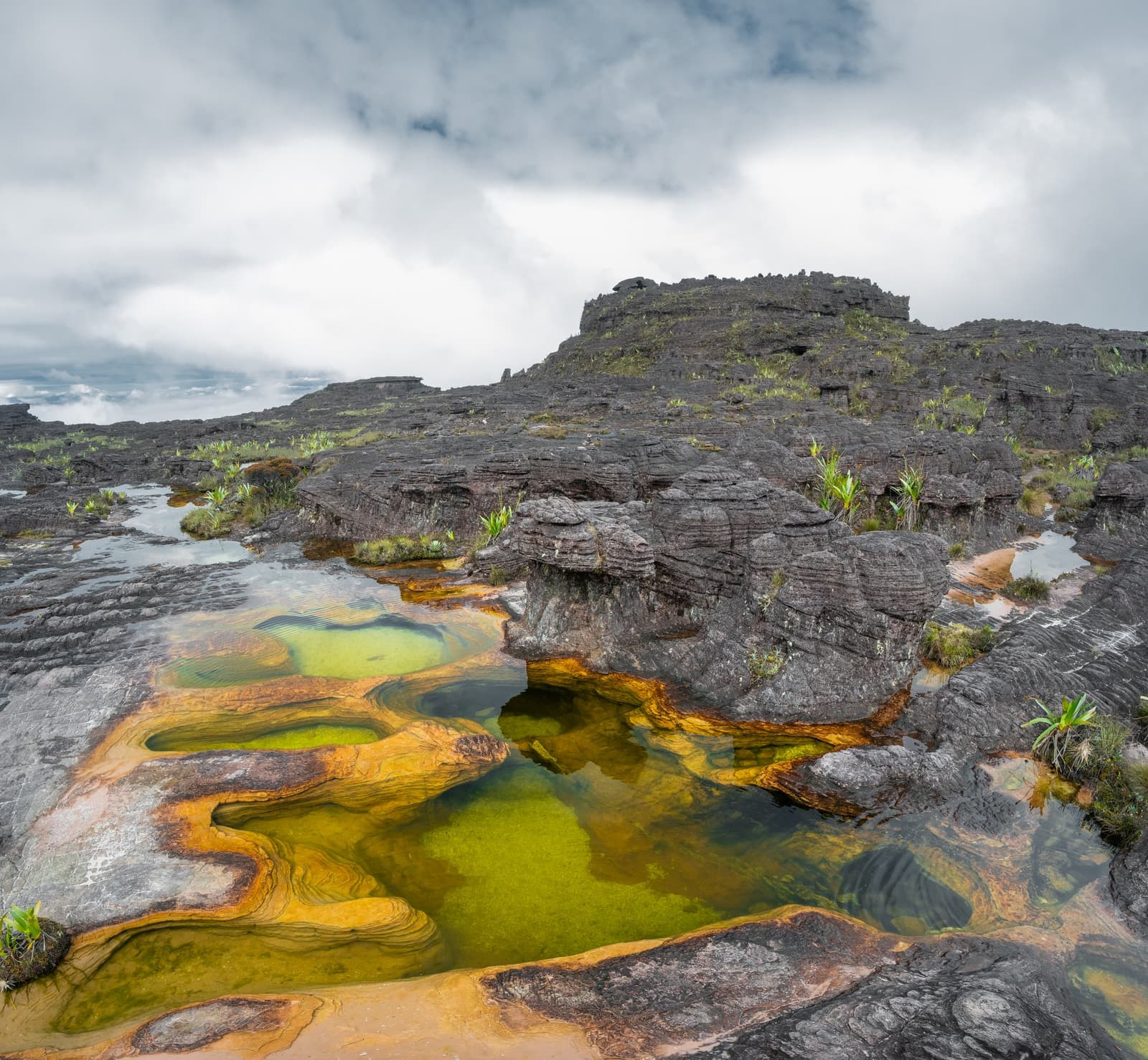 Deux milliards d'années de patience, et ce résultat. Piscines naturelles vert vif et ocre dorée creusées dans le plateau sommital du trek du mont Roraima, entourées de formations de grès noir érodé et de nuages bas