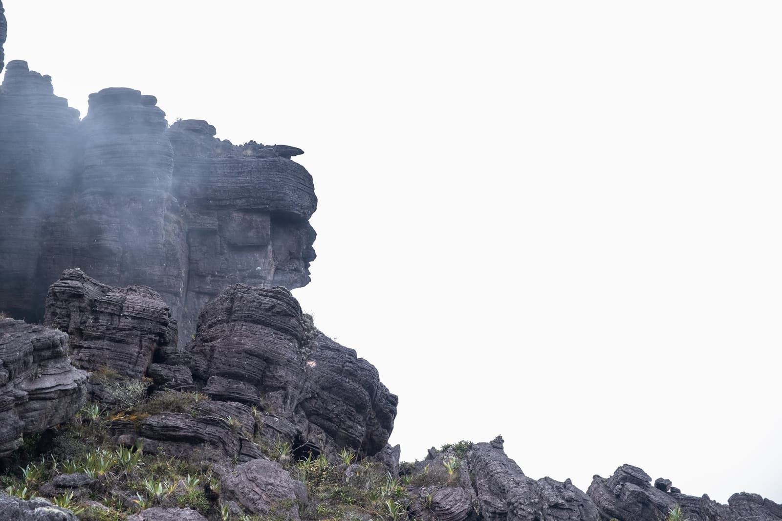 On dirait que la montagne vous observe depuis des millénaires. Des formations rocheuses de grès stratifié émergent d'une brume tourbillonnante lors du trek du Mont Roraima, leurs contours érodés évoquant d'anciens sentinelles sur le plateau