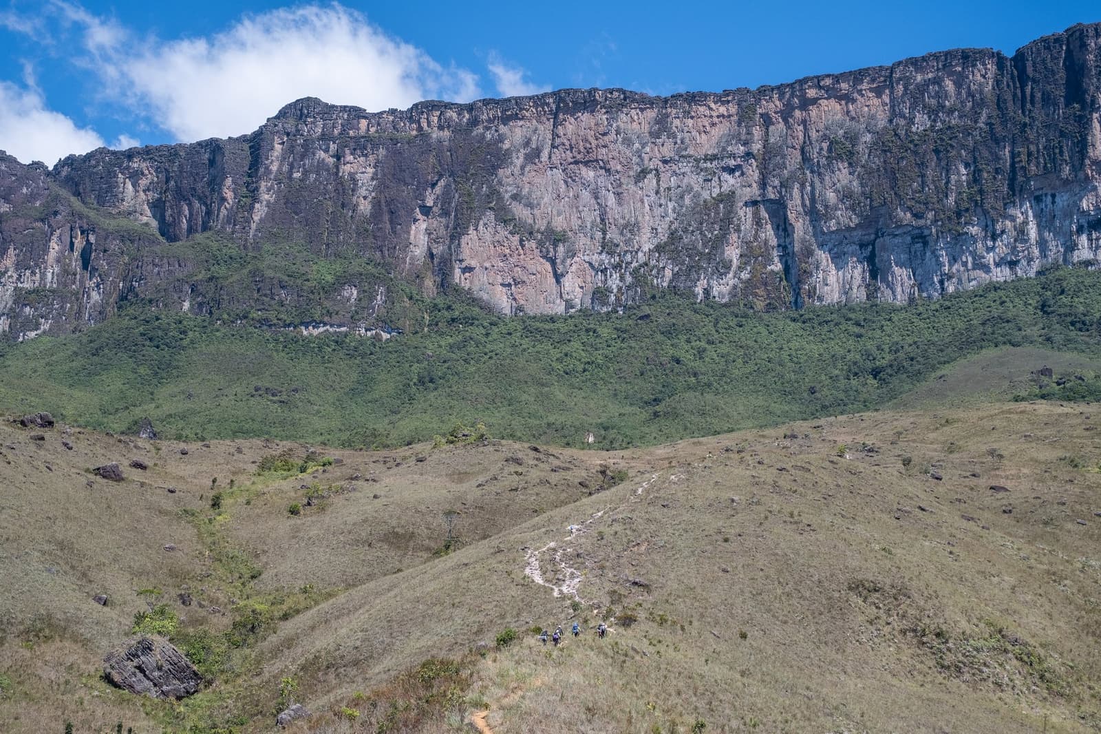 Quelques silhouettes sur le sentier, et la falaise qui rappelle à tous leur taille réelle. Un petit groupe de randonneurs suit un sentier sinueux à travers une savane ouverte lors du trek du Mont Roraima, écrasés par les falaises verticales de grès du tepui