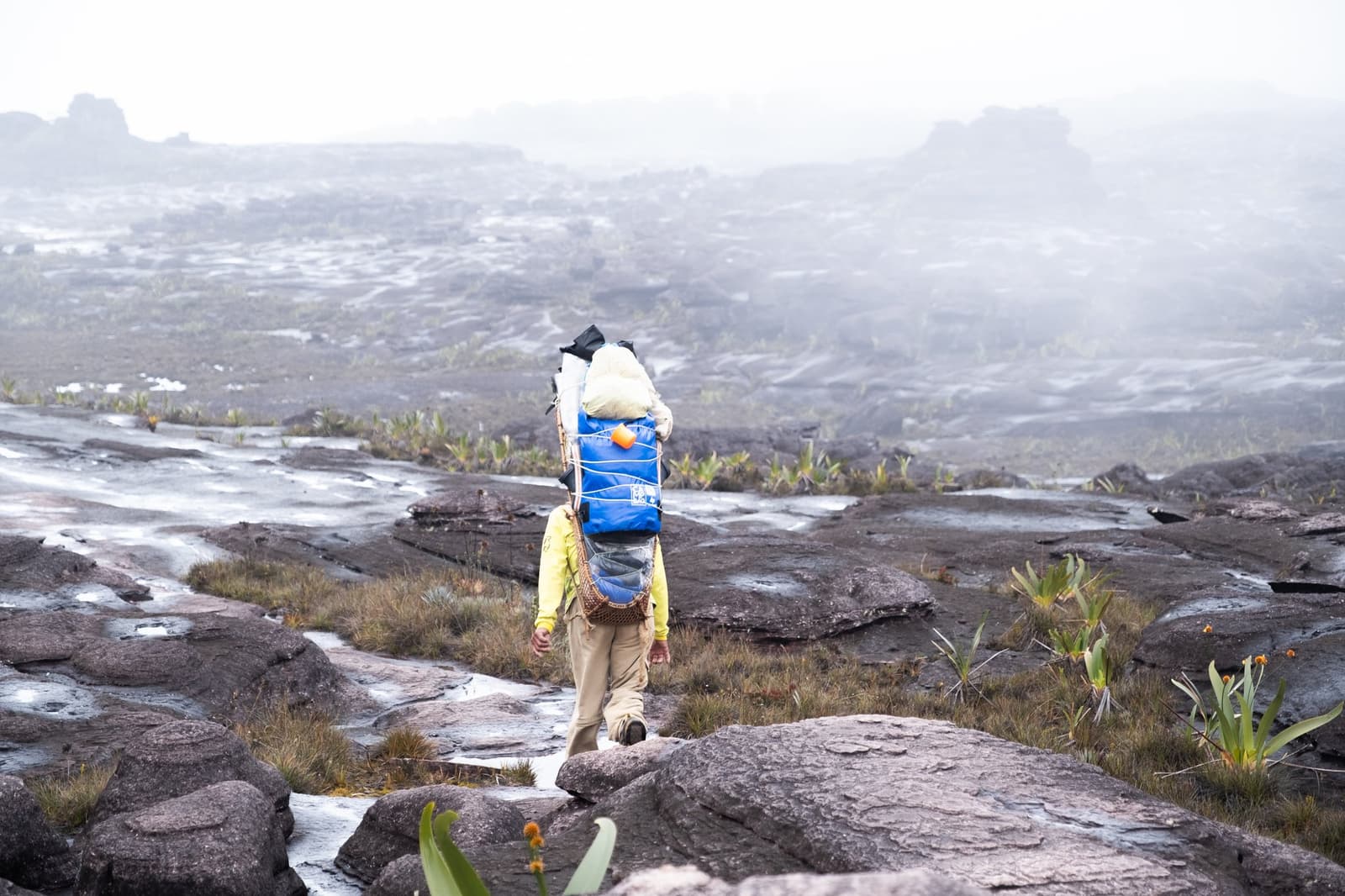 Le brouillard ne passe pas, il s'installe, et vous avec lui. Un porteur lourdement chargé traverse le plateau rocheux et humide du trek au mont Roraima, entouré de broméliacées basses et d'une épaisse brume tourbillonnante