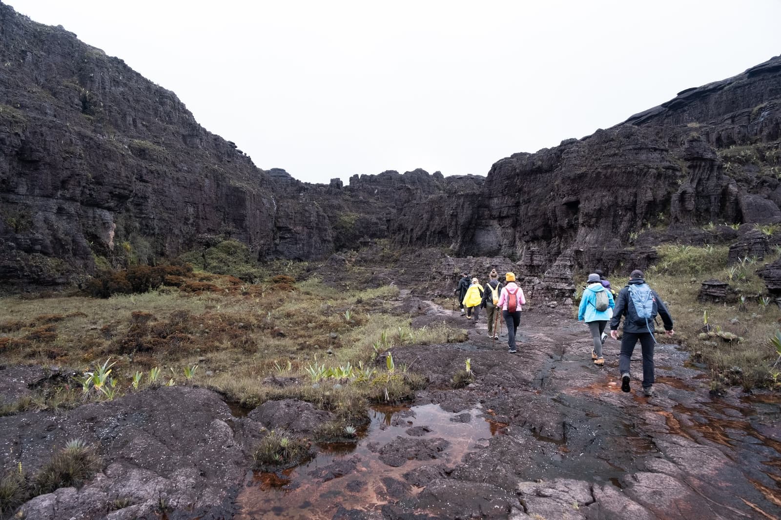 Le plateau du Roraima s'apprivoise par tous les temps, pas seulement les beaux jours. Un groupe de randonneurs en vêtements de pluie traversent un grès noir et mouillé lors du trek du mont Roraima, avançant vers de spectaculaires falaises anciennes qui s'élèvent de chaque côté d'une vallée de haute altitude