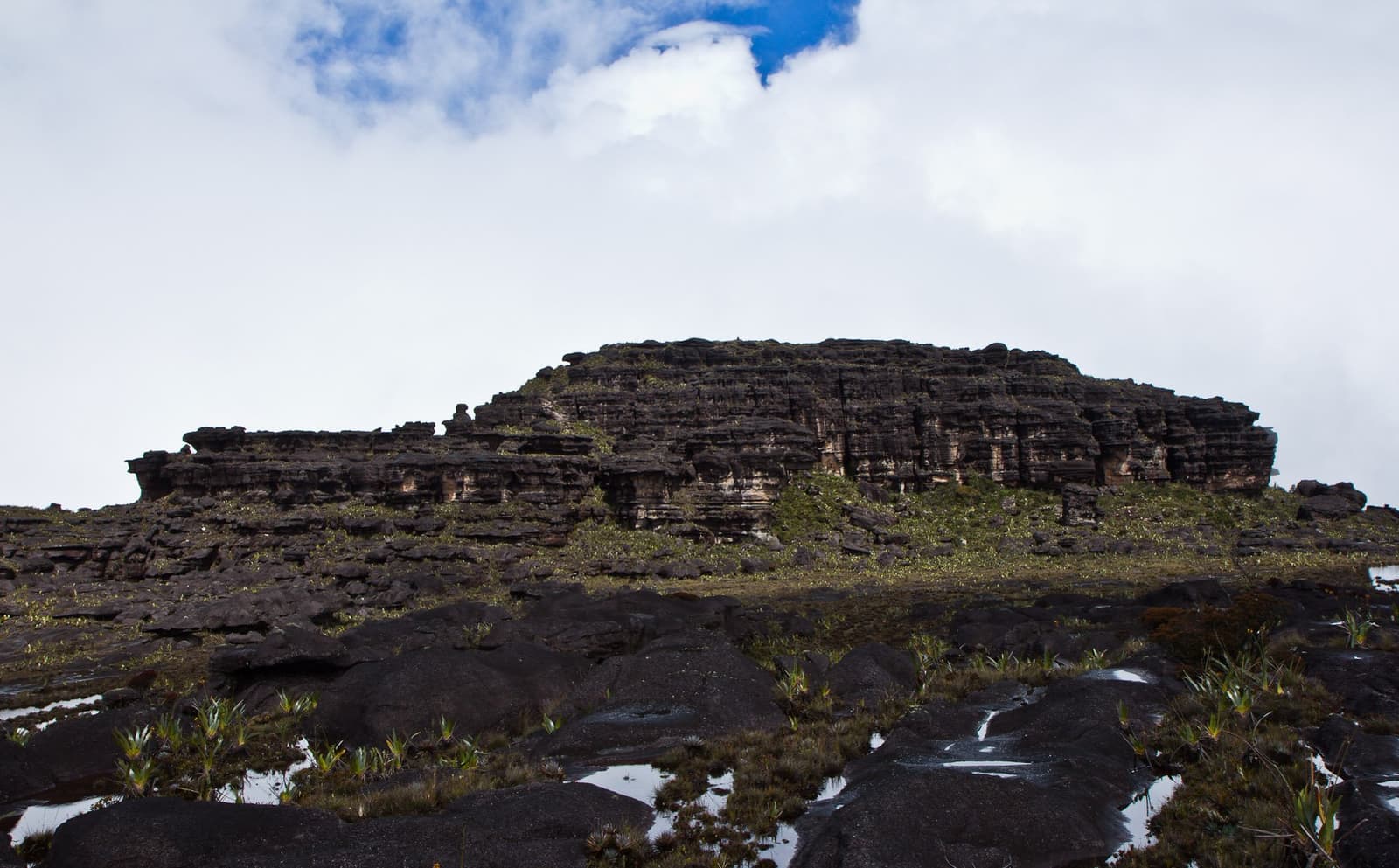 Le temps lui-même semble fossilisé dans ces strates de grès. Falaises de grès stratifiées de l'ancien plateau sommital d'un tepui lors du trek du Mont Roraima, avec des flaques de pluie et une végétation endémique éparse couvrant le premier plan rocheux sombre sous un ciel partiellement nuageux