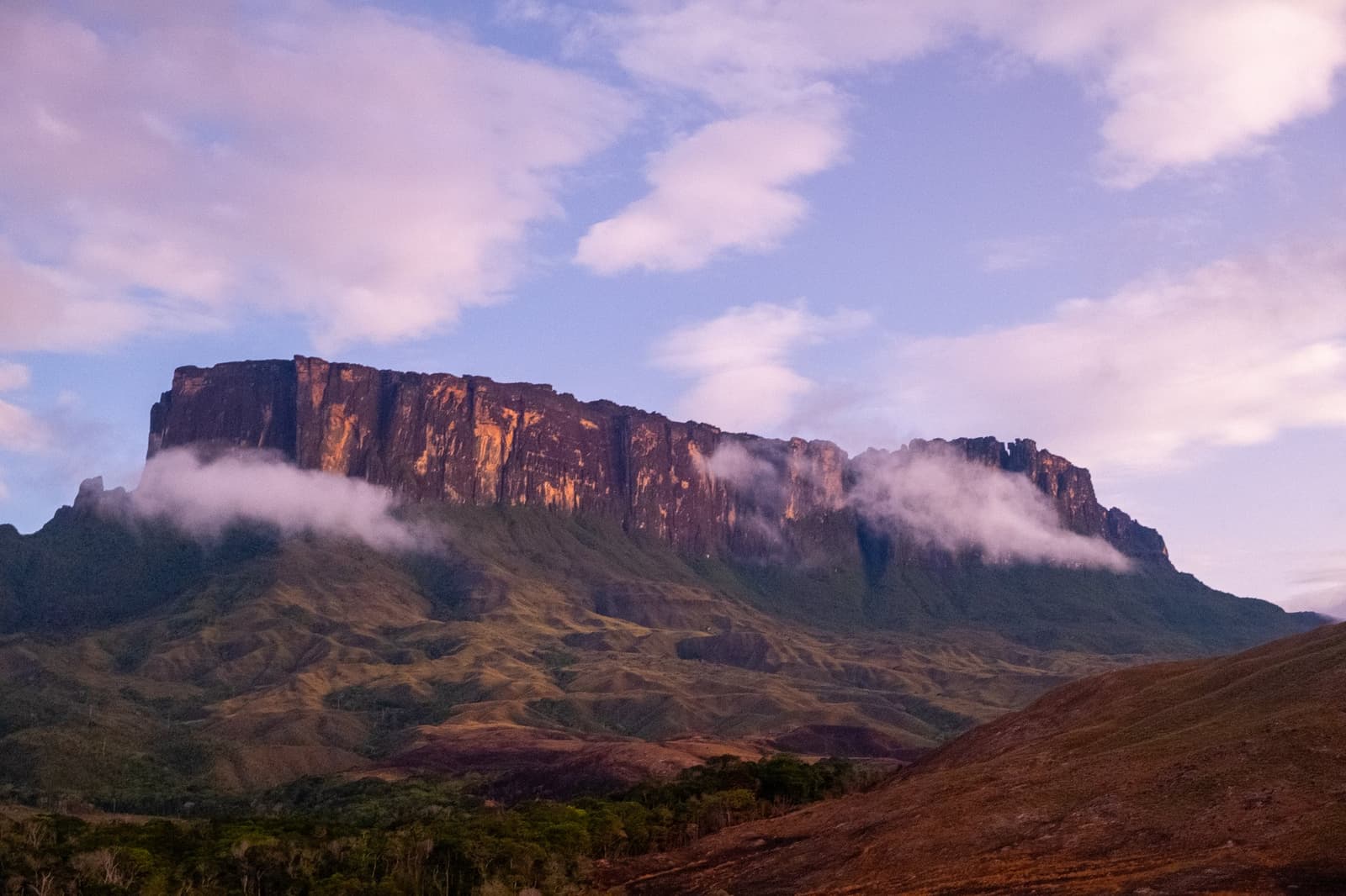La lumière du soir sur la roche, et tout à coup le trek en valait chaque pas. Un tepui au sommet plat se dresse au-dessus des savanes verdoyantes lors du trek du mont Roraima, ses falaises de grès brillant d'un éclat ambré dans la lumière rasante tandis que la brume enveloppe la base du plateau