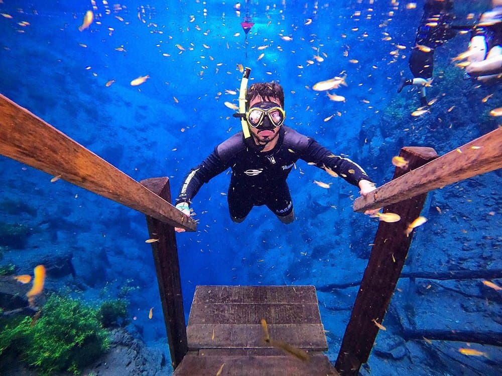 Die Fische hier kennen keine Scheu, und das merkt man sofort. Ein Schnorchler im Neoprenanzug und gelber Maske steigt eine Holztreppe in das kristallklare, leuchtendblaue Wasser hinab, umgeben von kleinen goldenen Fischen