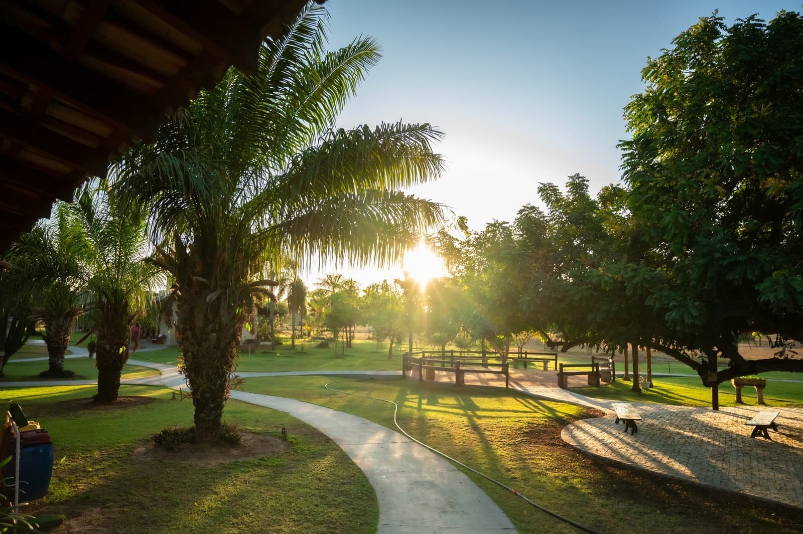 Fim de tarde no lodge: a melhor parte do itinerário, sem planejamento nenhum. Sol irradiando entre palmeiras e árvores tropicais no horário dourado sobre os jardins cuidados de uma pousada de safari jaguar econômico no Pantanal, com caminho sinuoso e cerca de madeira banhados de luz quente