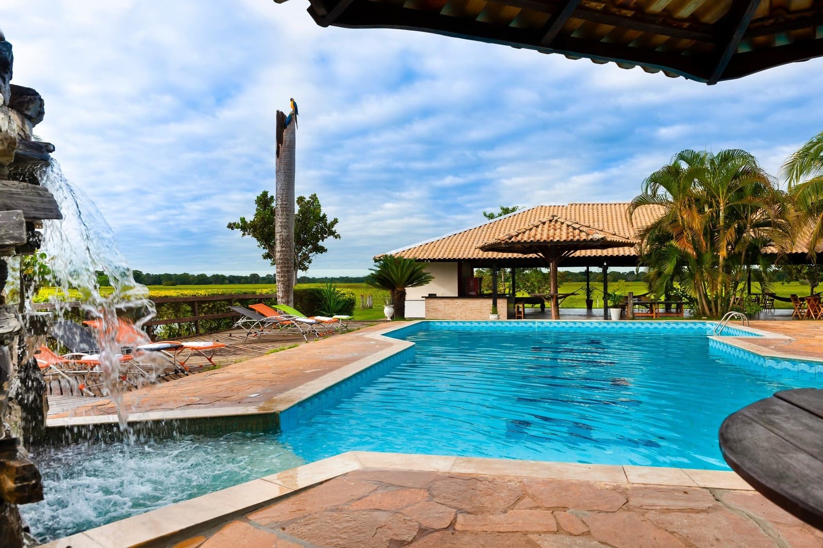 A piscina fria depois de um dia rastreando onças: puro alívio. Piscina ao ar livre com cascata em uma pousada de safari de onça no Pantanal, espreguiçadeiras no deck, uma arara-canindé empoleirada em um alto tronco de palmeira e vista aberta para a planície alagada