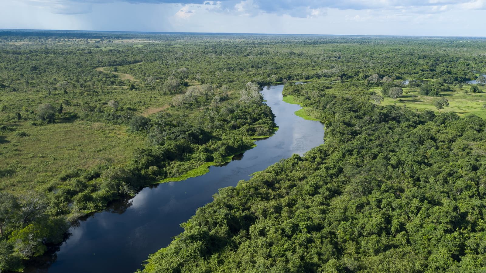 No Pantanal, o rio é quem manda no horário. Vista aérea de um rio escuro e espelhado serpenteando pela densa mata de galeria tropical do Pantanal, com vastas planícies alagáveis se estendendo até o horizonte sob um céu encoberto