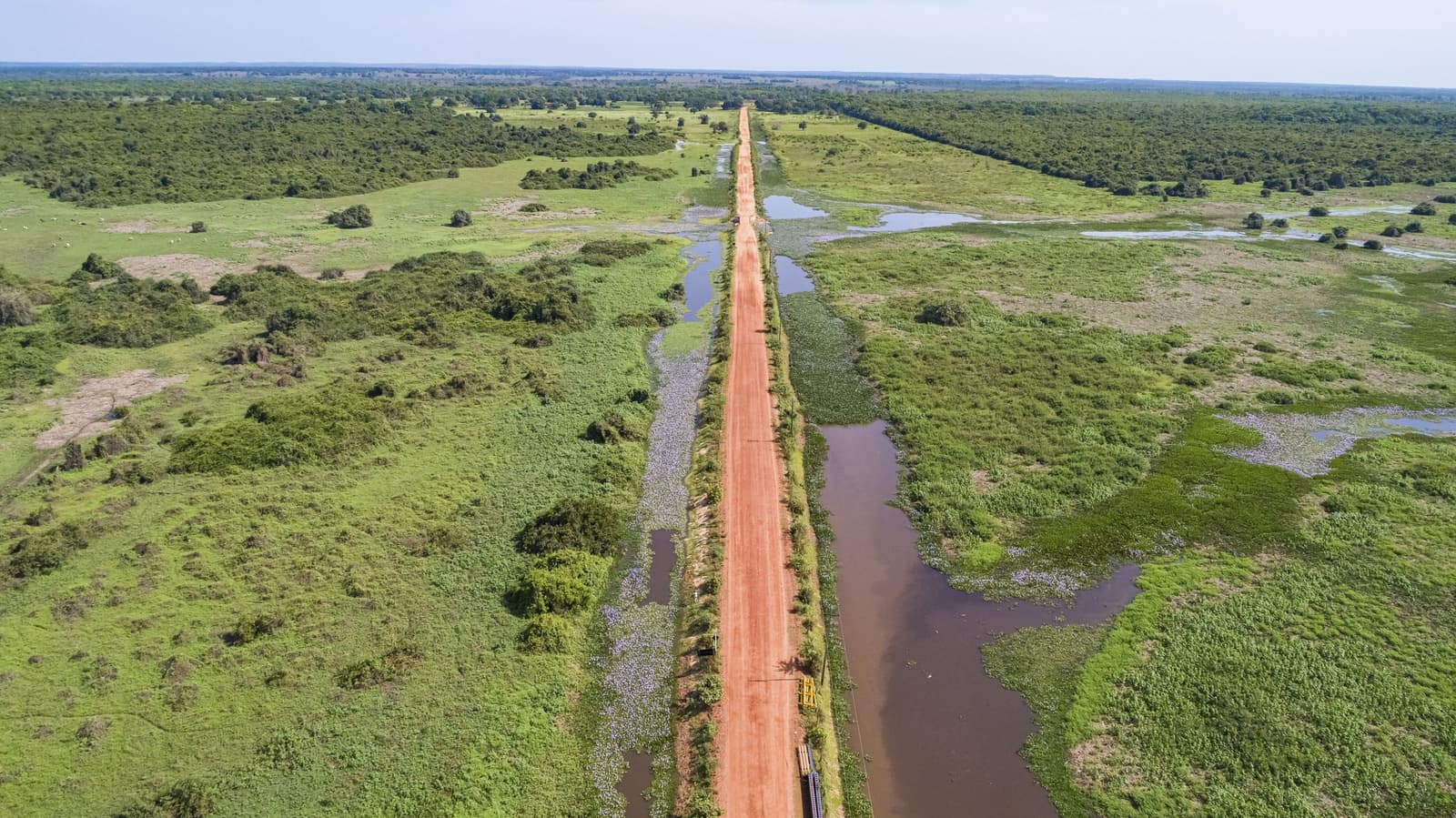 Reta até o infinito sobre um mundo alagado, a Transpantaneira abre caminho rumo a Porto Jofre. Photo: Uwe-Bergwitz Vista aérea de uma estrada de terra vermelha que se estende até o horizonte pelos campos alagados do Pantanal, ladeada por canais de água marrom e vegetação verde exuberante