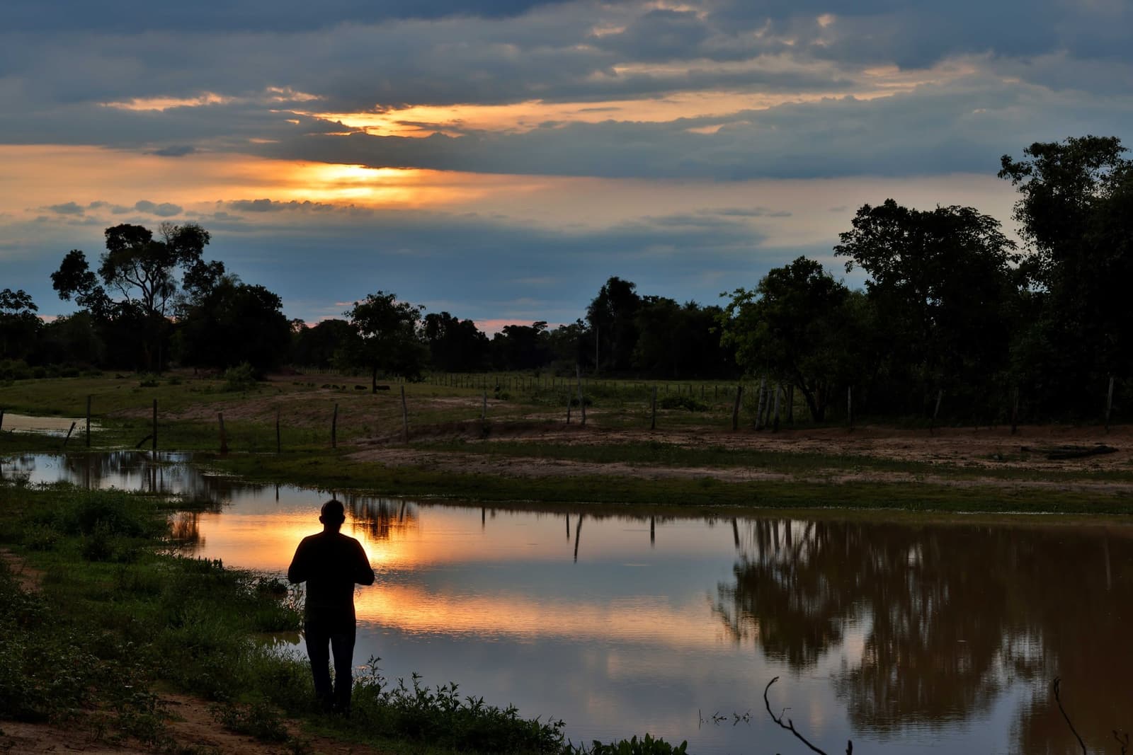 Tem hora em que a lagoa guarda o céu melhor do que o próprio céu. Uma silhueta parada à beira de uma lagoa calma que reflete um céu alaranjado de pôr do sol, cercada por árvores e campo aberto durante um passeio ao Pantanal saindo de Campo Grande
