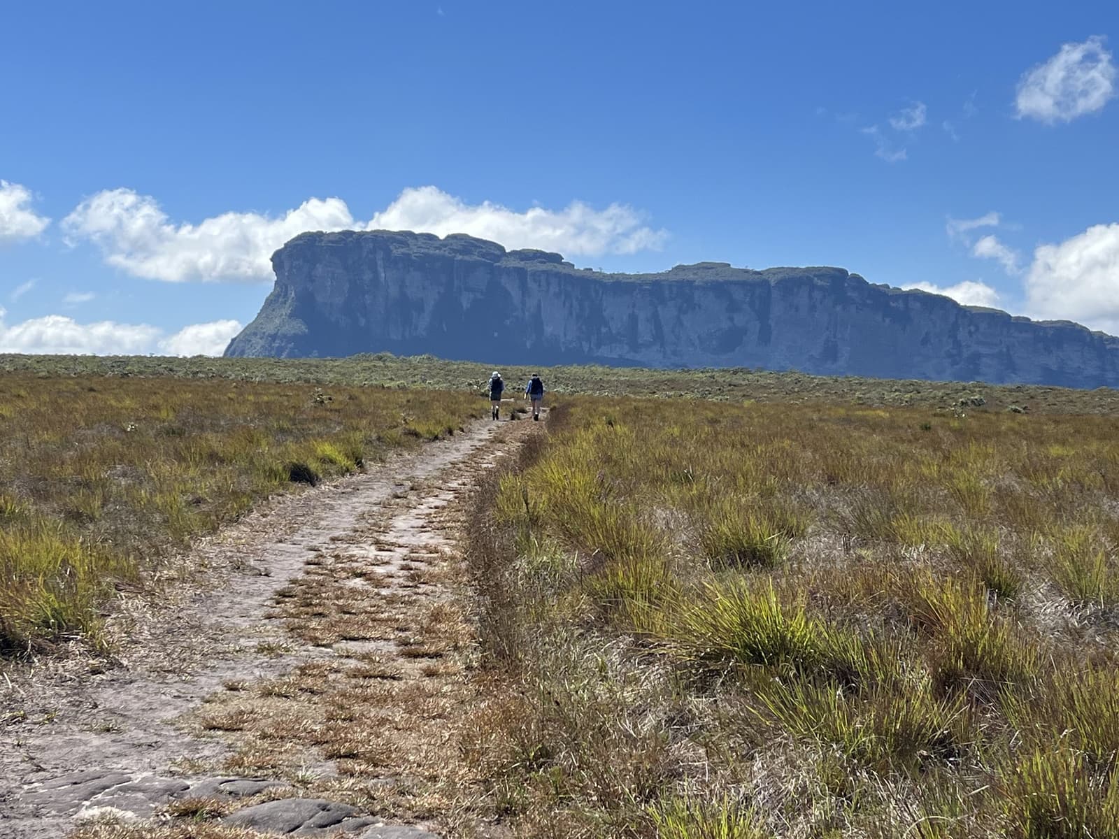 On marche, on se tait, et le plateau s'occupe du reste. Deux randonneurs progressant sur un sentier rocailleux à travers une savane ouverte lors de la randonnée dans la vallée de Pati, avec un tepui aux parois verticales se dressant sous un ciel bleu
