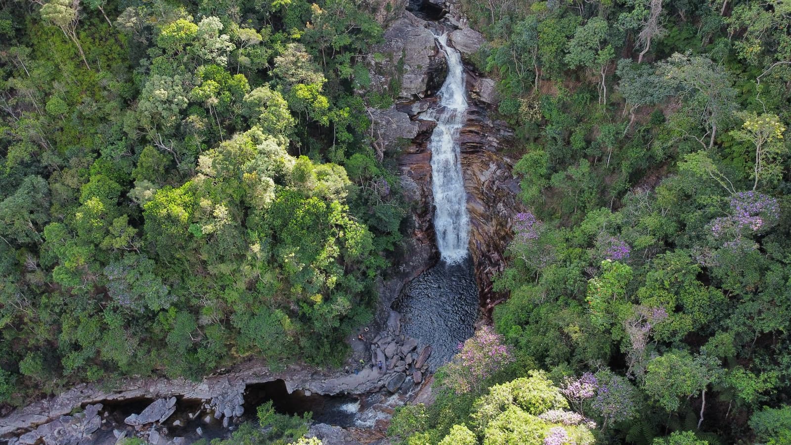 La forêt reprend ses droits partout, sauf là où l'eau a décidé de passer. Vue aérienne d'une haute cascade dévalant une paroi rocheuse sombre vers un bassin naturel, entourée d'une forêt dense avec des arbres aux fleurs violettes lors de la randonnée dans la vallée de Pati