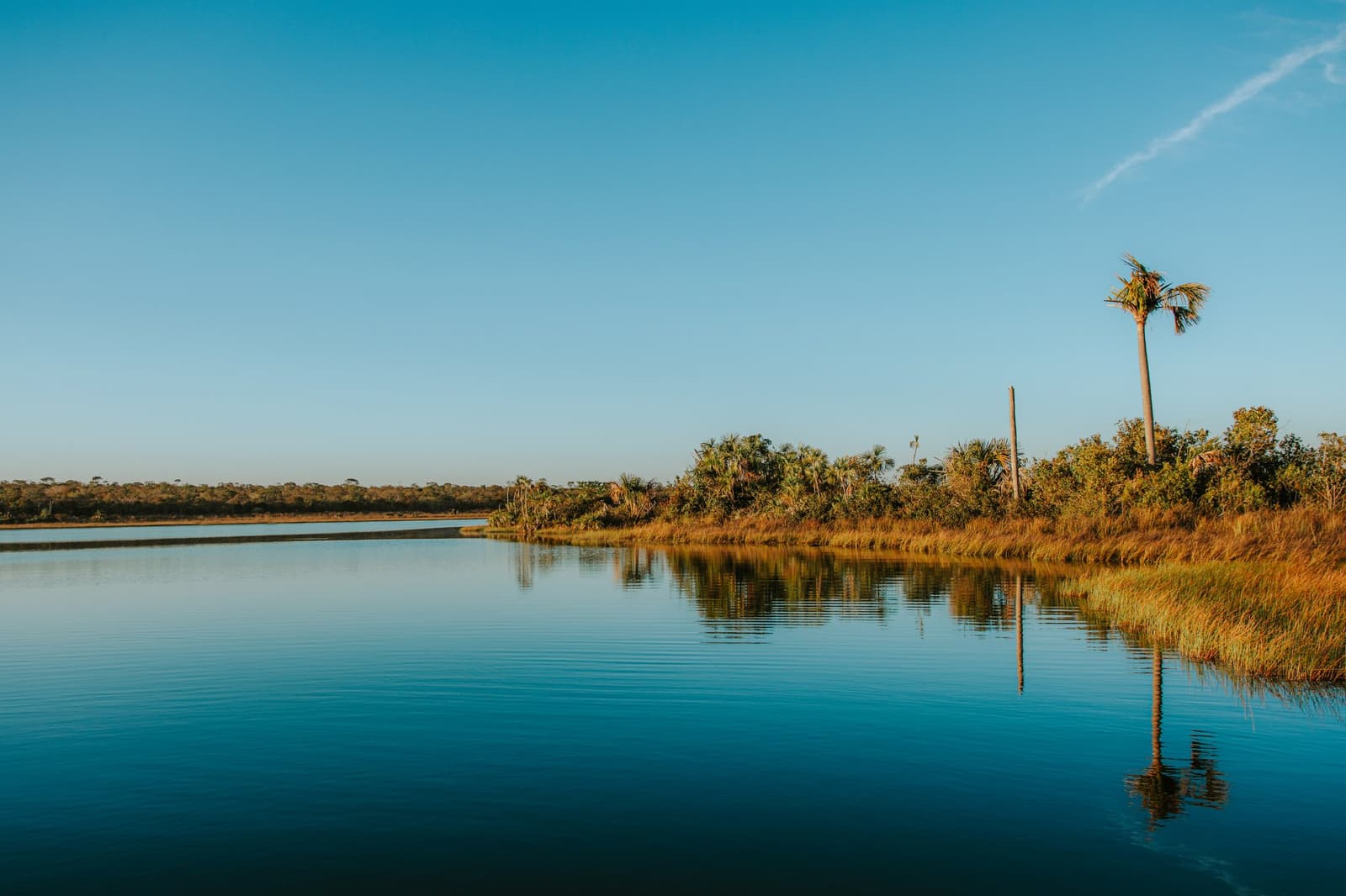 O Cerrado tem essa calma que a gente não esquece tão fácil. Águas calmas da Lagoa das Araras na Pousada Trijunção refletindo uma buritizeira alta e gramíneas douradas sob um céu azul sem nuvens