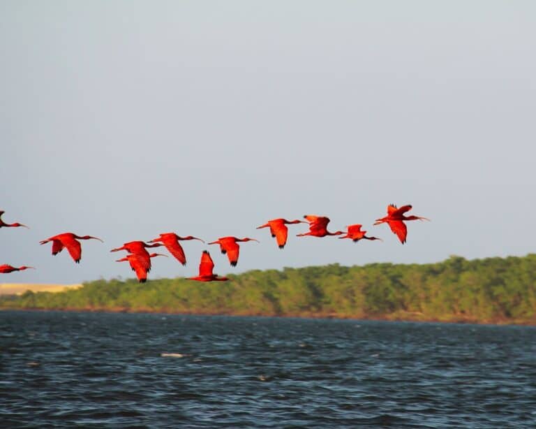Route of Emotions in Brazil: itinerary, map, and best time to visit in 2026