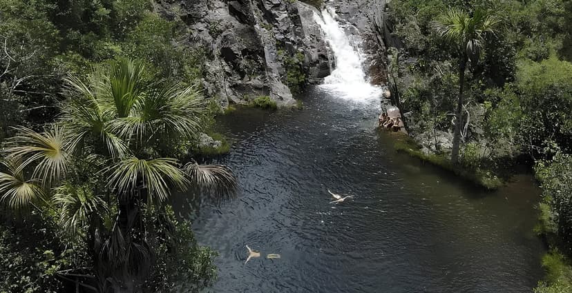 Aerial view of swimmers in a dark natural pool fed by a waterfall cascading down rocky cliffs, surrounded by Cerrado palm trees and dense forest during a trekking Chapada dos Veadeiros adventure Aerial view of swimmers in a dark natural pool fed by a waterfall cascading down rocky cliffs, surrounded by Cerrado palm trees and dense forest during a trekking Chapada dos Veadeiros adventure