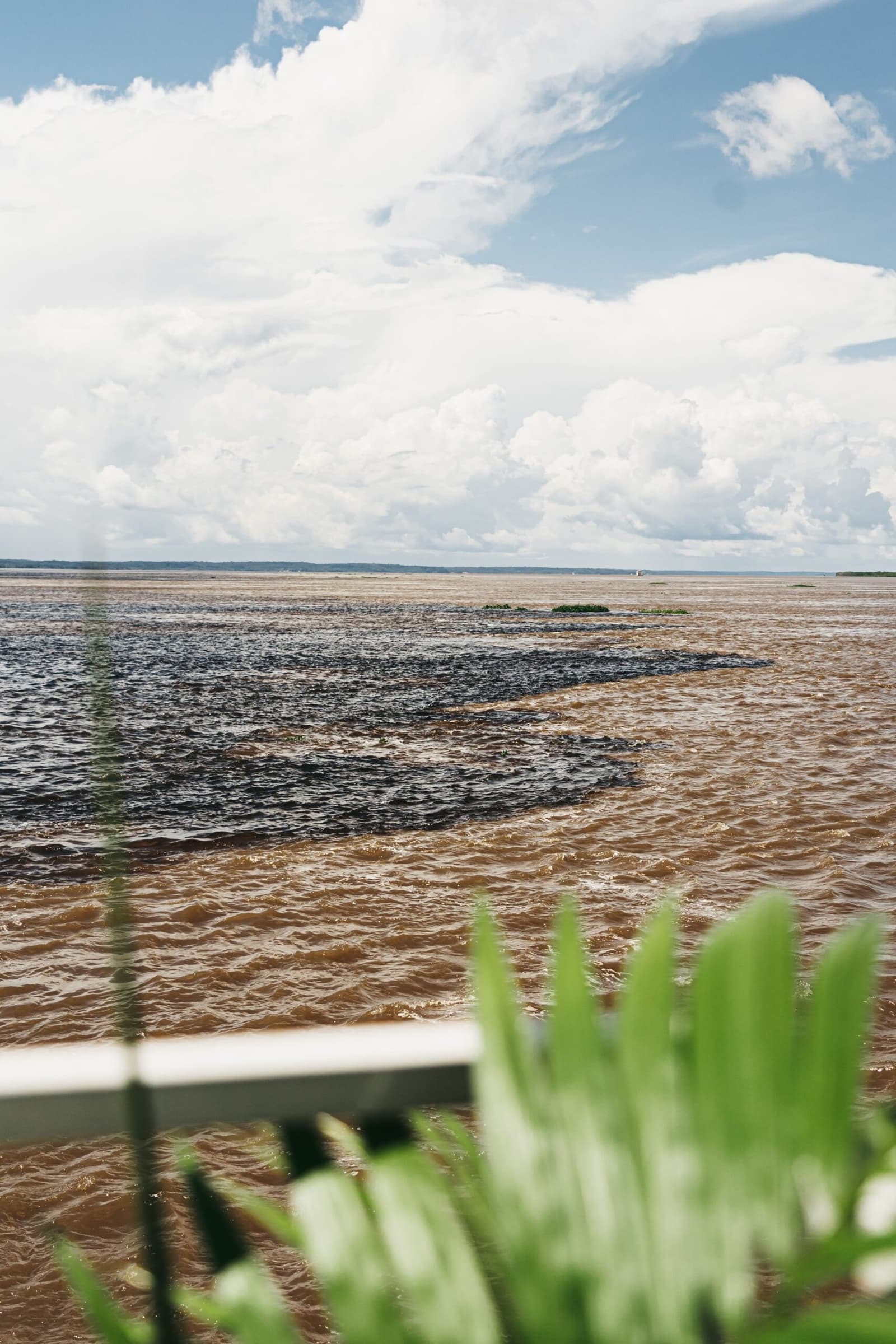 Deux fleuves voisins, mais chacun reste chez soi. Eaux noires et eaux brunes se rejoignant côte à côte vues depuis le pont du bateau, avec de la végétation verte au premier plan et de grands cumulus dans le ciel