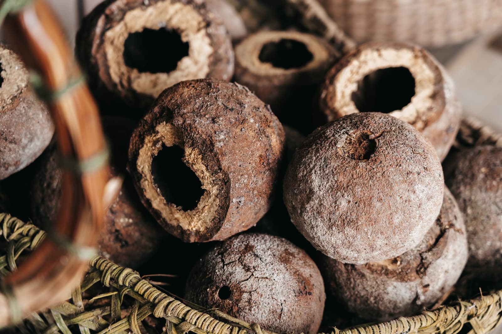 Toute une forêt résumée dans un panier tressé. Capsules de graines creuses et séchées empilées dans un panier tressé, exposées au musée du Seringal lors d'une croisière sur l'Amazone