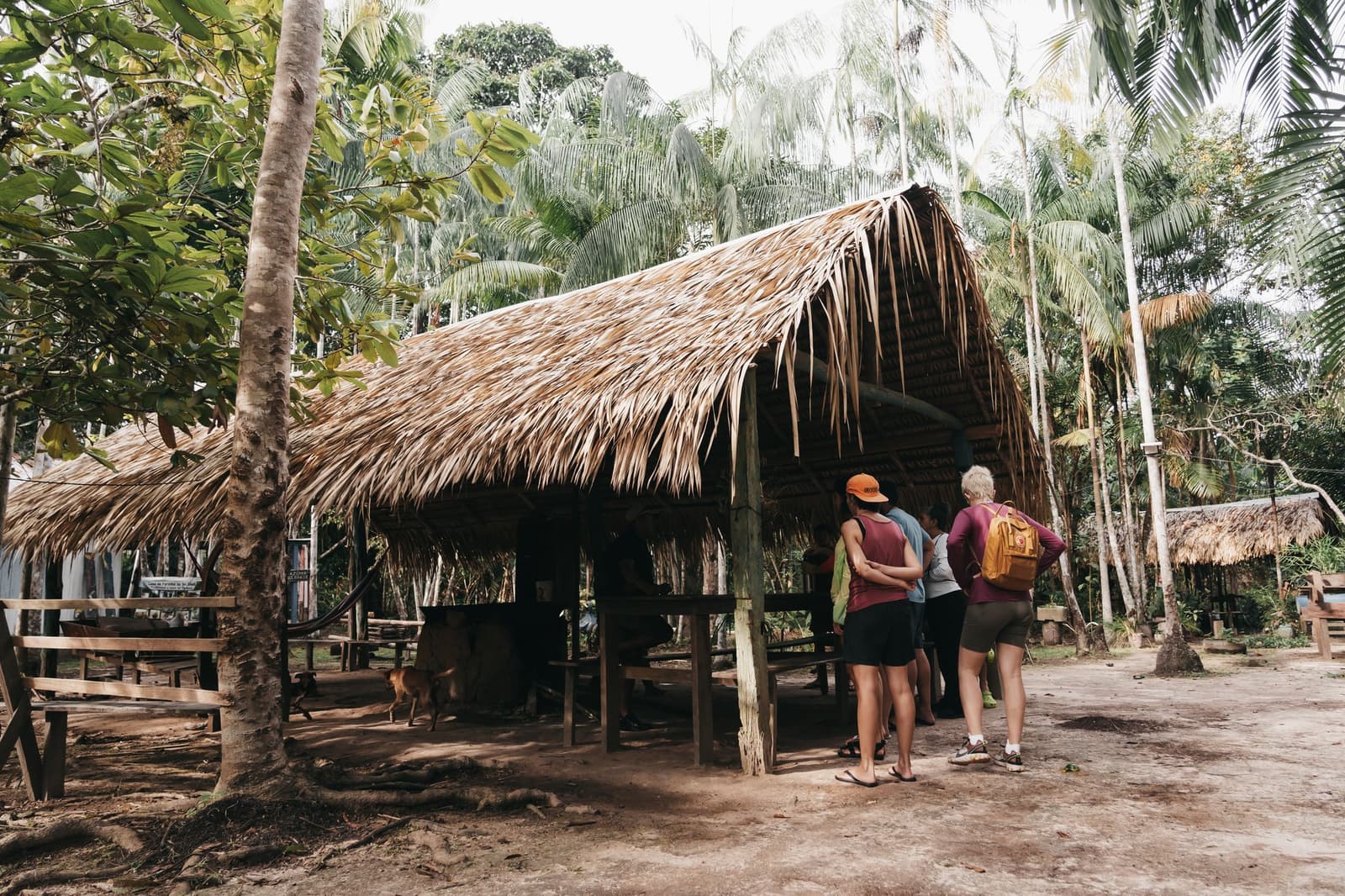 Une vraie vie de village, à quelques pas de la forêt. Petit groupe d'écotouristes rassemblés devant une case traditionnelle au toit de palme, entourée de grands palmiers et de forêt tropicale, lors d'une visite communautaire en croisière sur l'Amazone