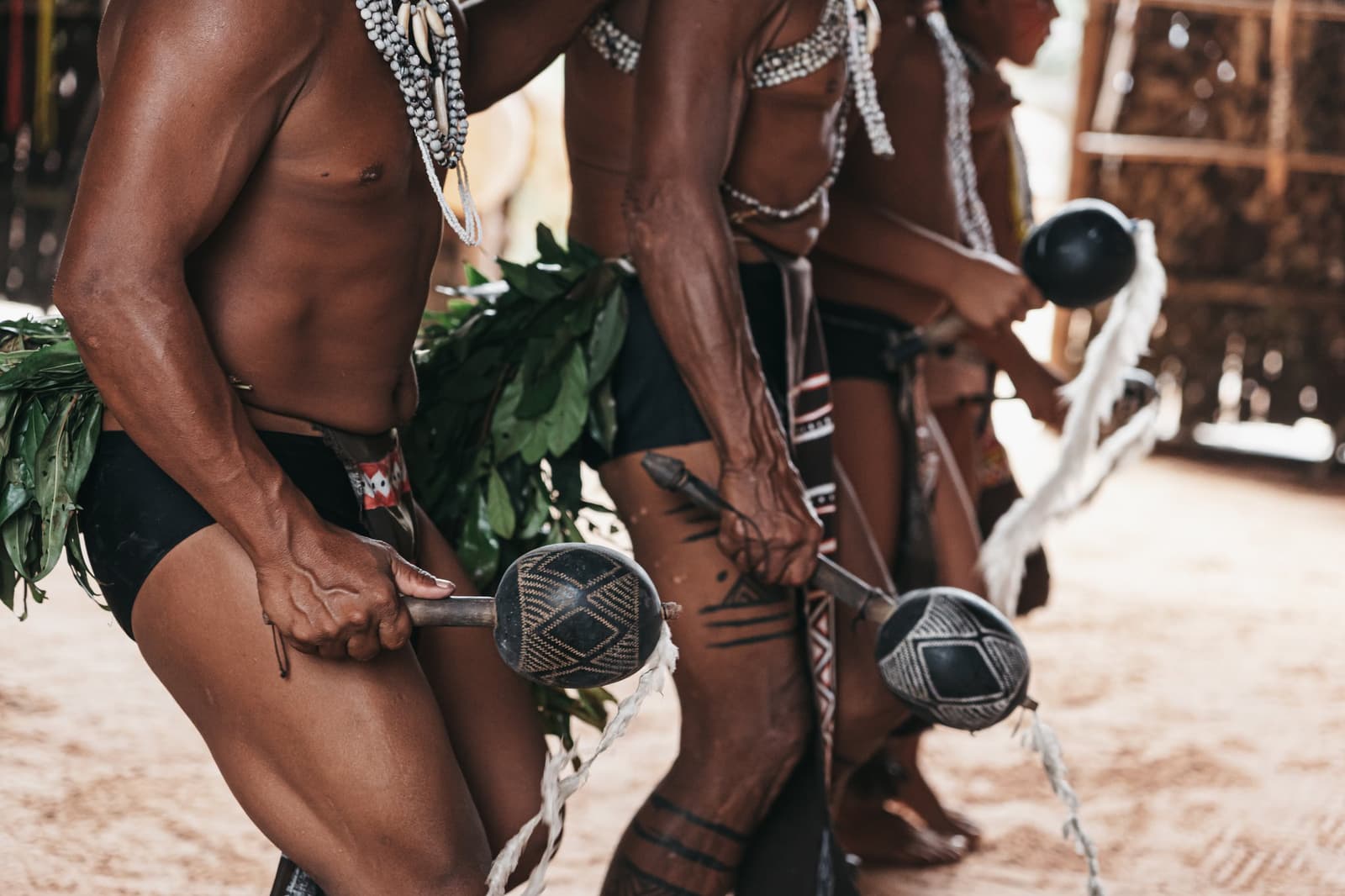 Le rythme des maracas, une langue que le corps comprend avant l'esprit. Gros plan d'hommes indigènes tenant des maracas décorées à motifs géométriques lors d'une cérémonie pendant la visite communautaire de l'untamed amazon cruise