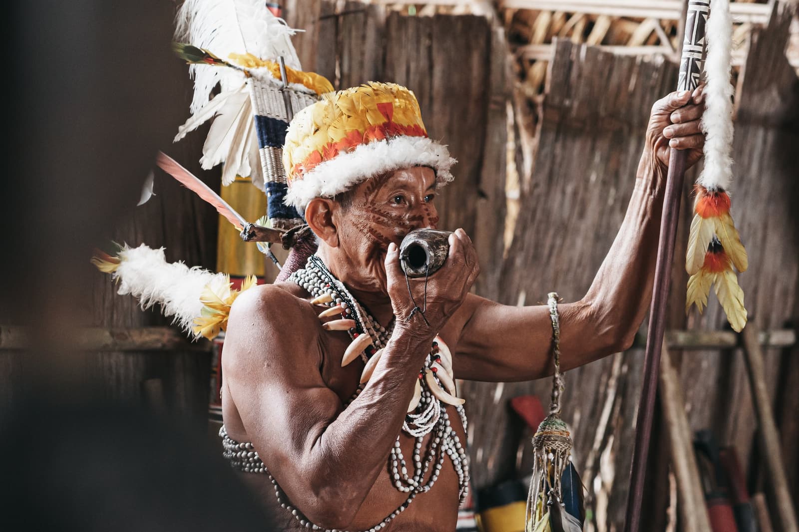 Un souffle, des siècles de mémoire. Un ancien d'une communauté indigène souffle dans un petit instrument en calebasse lors d'une visite culturelle de l'Untamed Amazon Cruise, portant une coiffe en plumes, des colliers traditionnels de perles et de dents, et tenant un bâton cérémoniel peint dans une maison longue au toit de chaume
