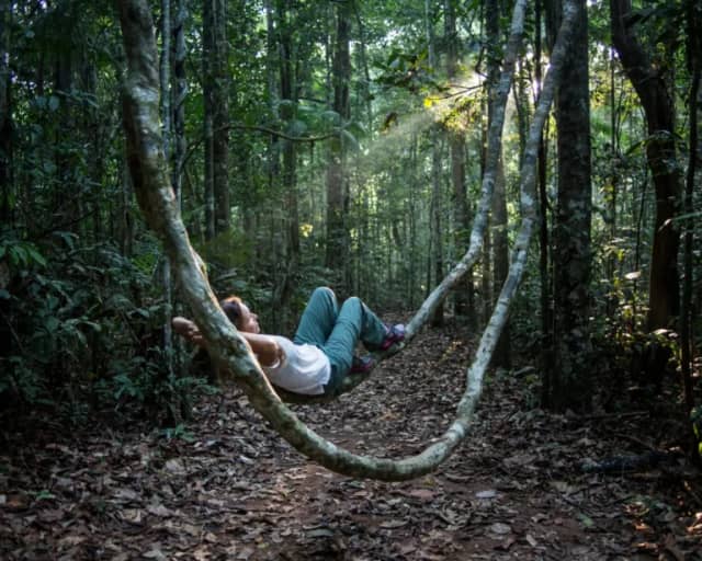 What to Do in the Amazon Rainforest: Top Outdoor Activities in Brazil What to Do in the Amazon Rainforest: Top Outdoor Activities in Brazil