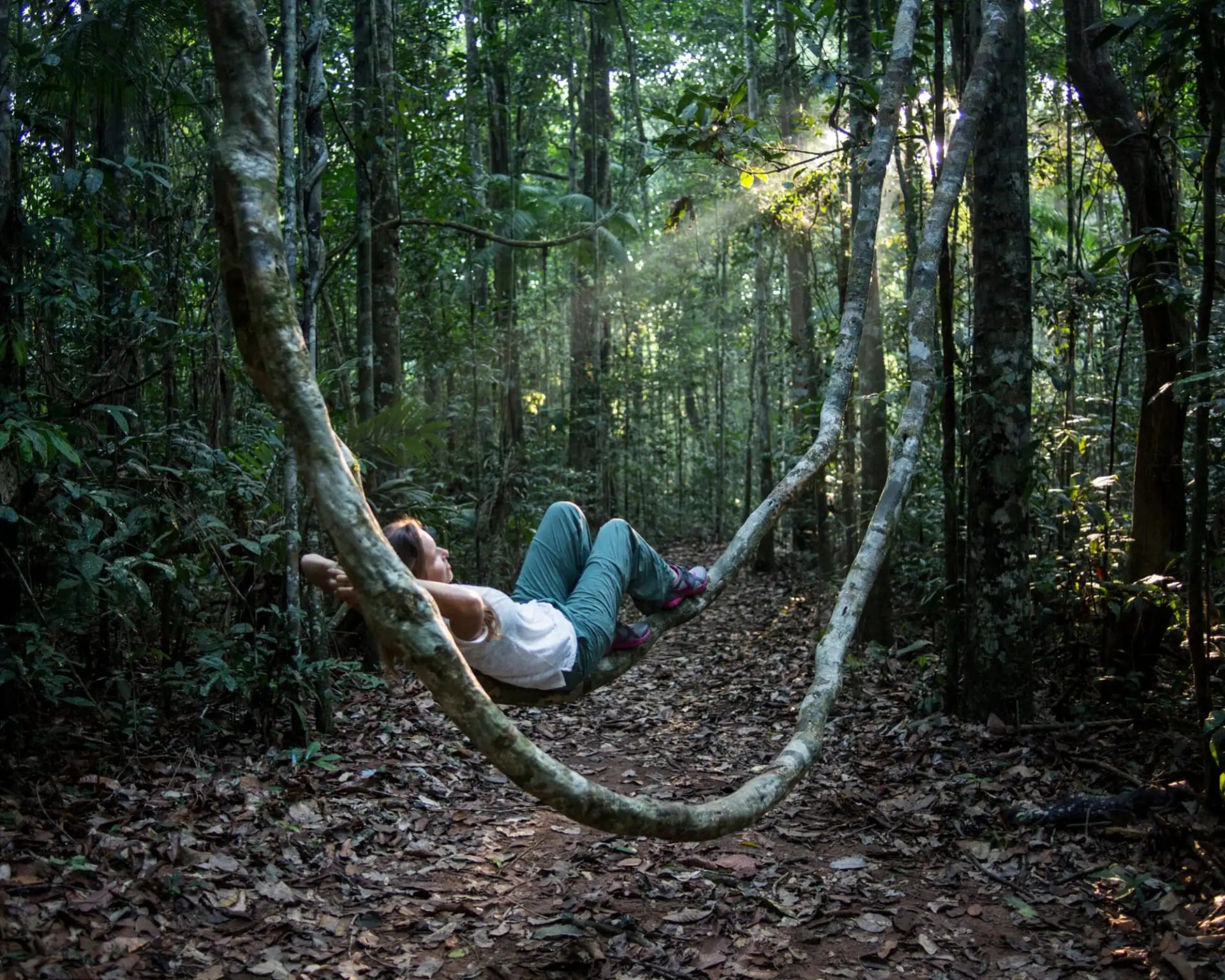 O que fazer na Floresta Amazônica: as melhores atividades ao ar livre no Brasil O que fazer na Floresta Amazônica: as melhores atividades ao ar livre no Brasil