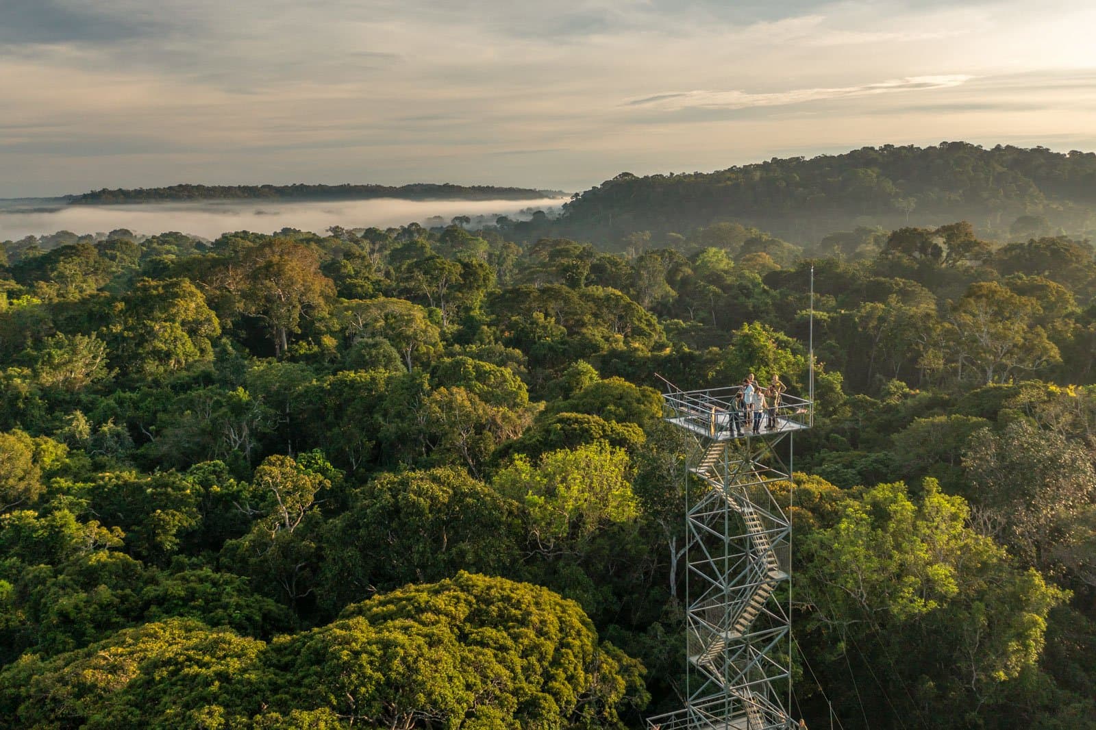 Hier oben hört der Wald auf, Kulisse zu sein, und wird zum eigentlichen Erlebnis. Photo: Andre Dib Eine kleine Gruppe Reisender steht bei Sonnenaufgang auf einem Metallturm über dem Amazonas-Regenwalddach, während Morgennebel über ein endloses grünes Baumkronenmeer zieht — Teil einer Luxusreise in den Pantanal und Amazonas