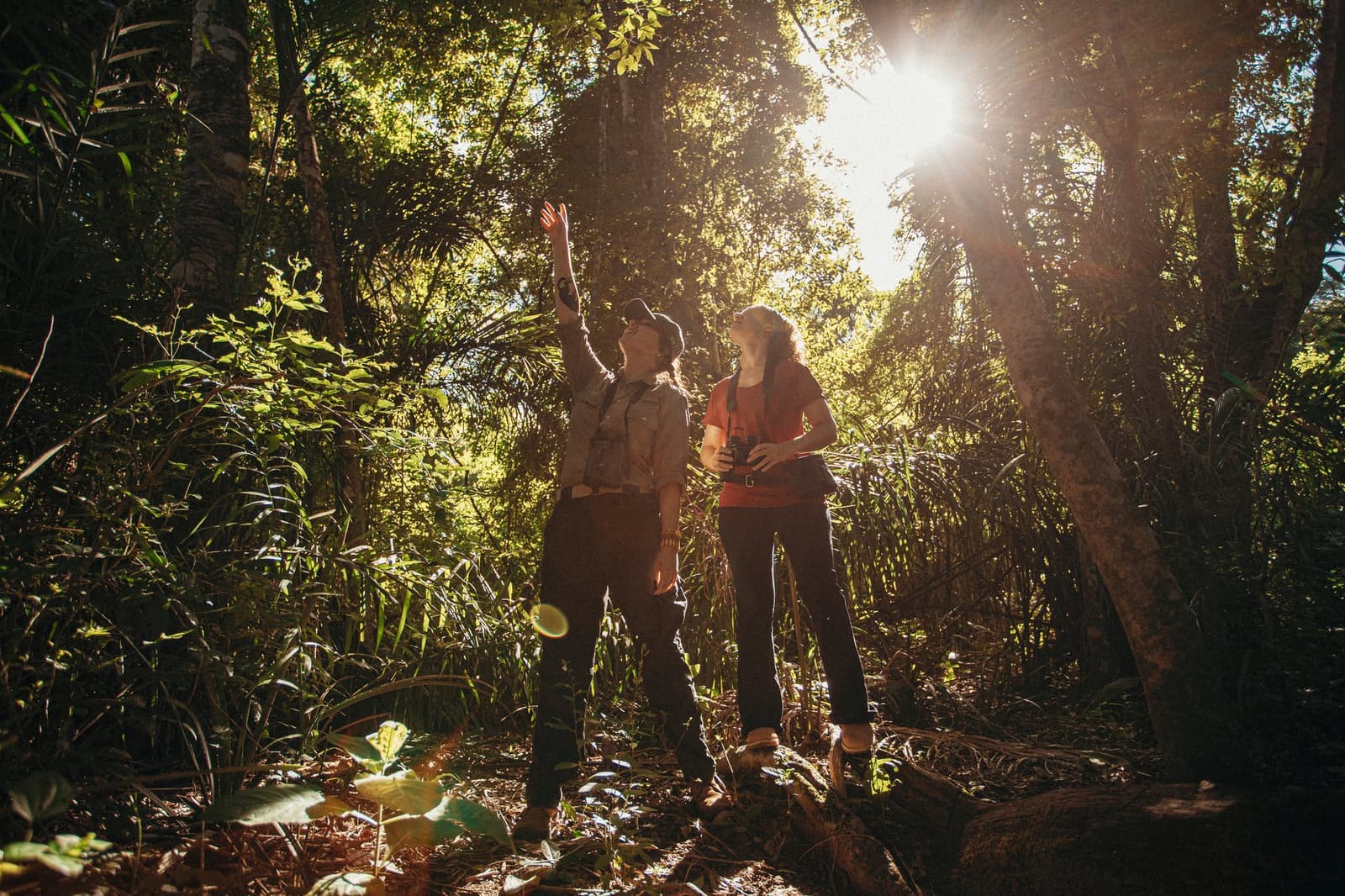 Na mata, quem sabe onde olhar muda tudo. Um guia aponta para o dossel da floresta enquanto uma visitante com binóculo olha para cima ao seu lado, com raios de sol atravessando as copas das árvores durante uma caminhada guiada