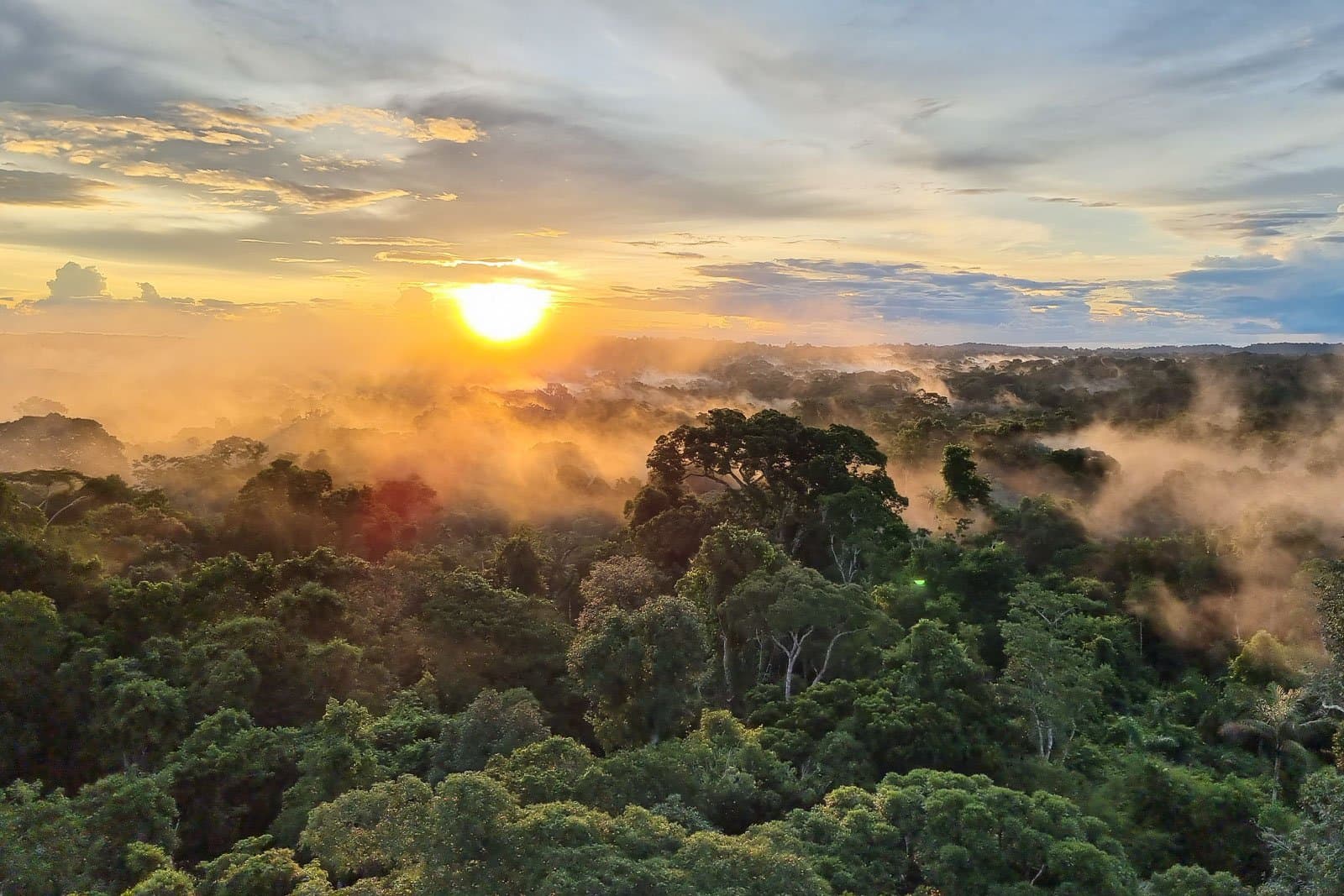 A floresta respira fundo toda manhã. E parece exatamente assim. Photo: Rafael Ferraz Vista aérea de uma densa copa de floresta tropical ao amanhecer em uma viagem de luxo ao Pantanal e à Amazônia, com luz dourada rompendo a névoa baixa que deriva sobre as copas das árvores sob um céu parcialmente nublado