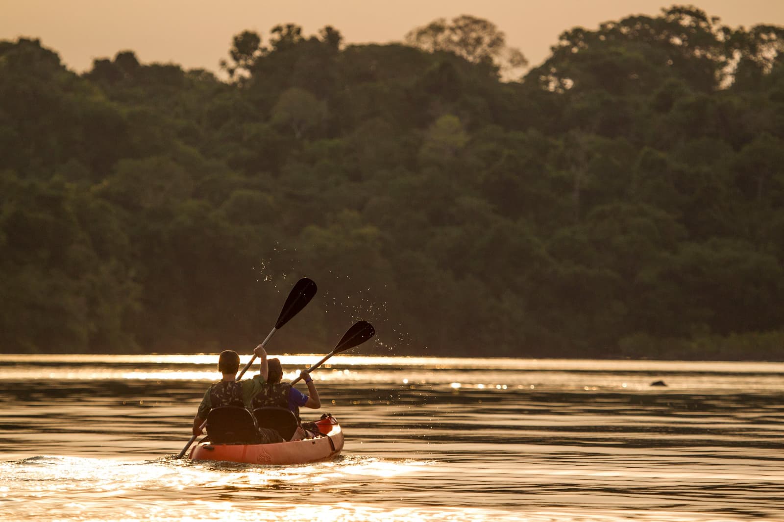 Dois remos, um caiaque, e um rio que nunca ouviu falar em horário. Photo: JOAO MARCOS ROSA / NITRO Dois remadores em um caiaque duplo vistos de costas em um rio calme na hora dourada, remos erguidos com gotículas de água capturadas pela luz, densa floresta tropical cobrindo a margem oposta
