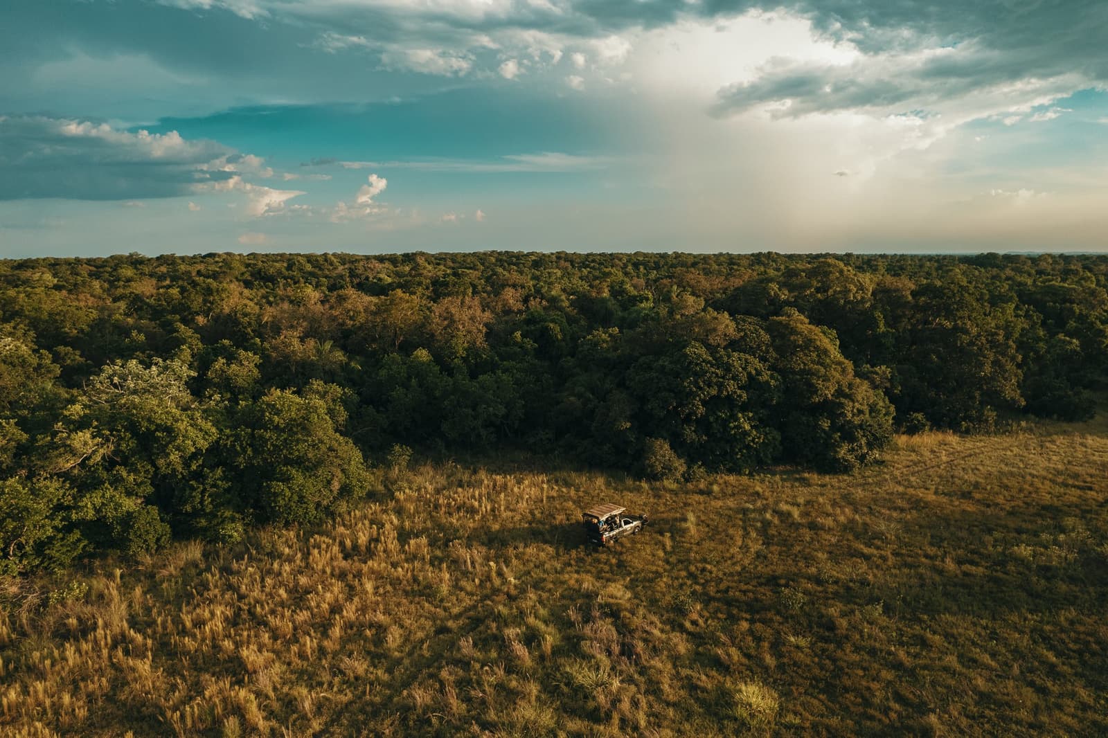 Das Fahrzeug ein Punkt, das Ödland alles drumherum. Photo: Felipe Castellari Luftaufnahme eines Safari-4x4-Fahrzeugs, das auf goldenem offenem Grasland einer Luxusreise durch den Pantanal und den Amazonas anhält, umgeben von einem dichten Blätterdach, das sich bis zum Horizont erstreckt, unter einem dramatischen bewölkten Himmel