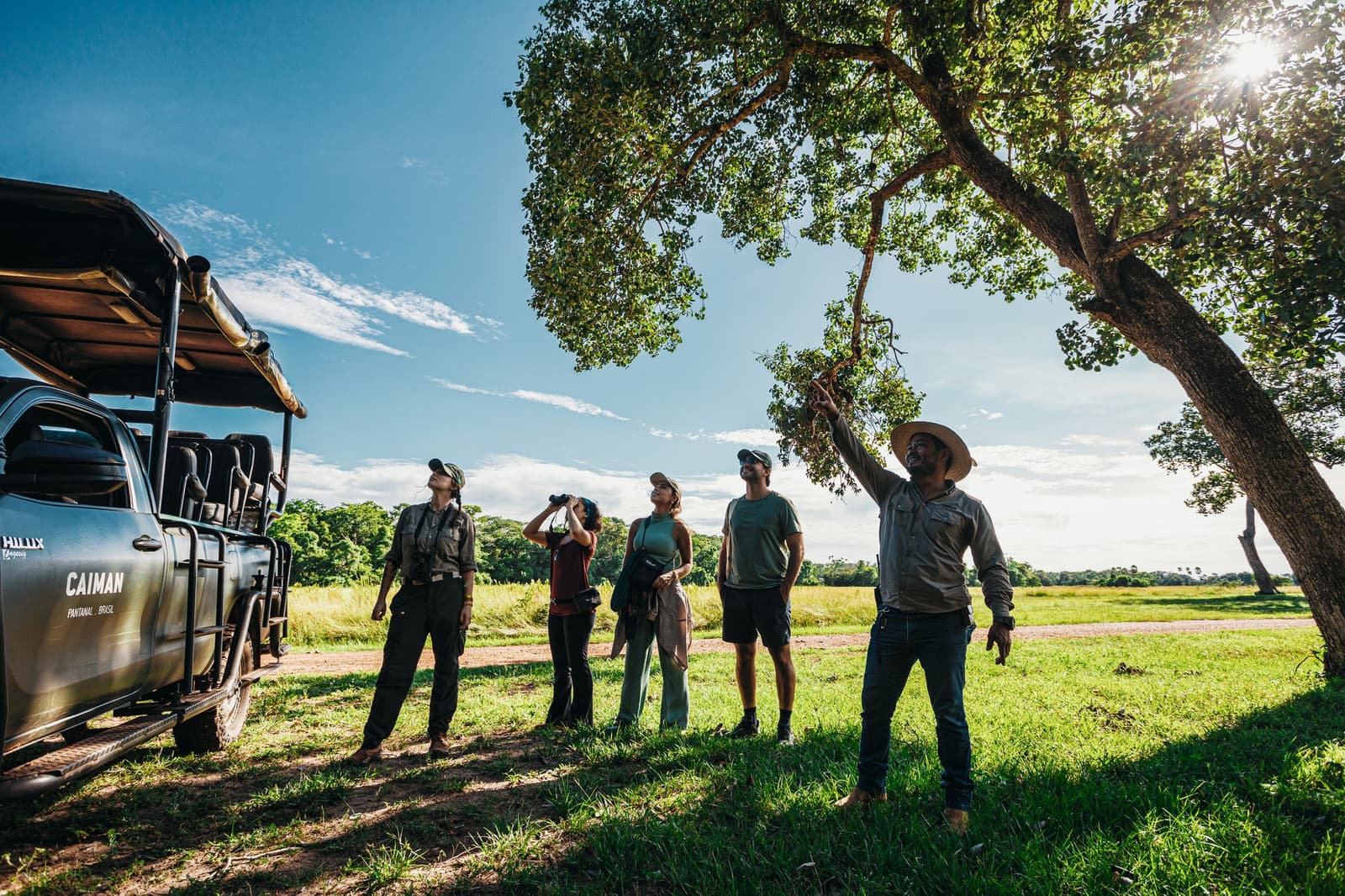 Ein guter Guide lässt dich aufschauen. Ein großartiger zeigt dir, was wirklich da ist. Photo: Felipe Castellari Ein Caiman-Lodge-Guide zeigt auf einen Baumkronen, während vier Gäste — einer mit Fernglas — bei einer geführten Wanderung einer Luxus-Pantanal-und-Amazonas-Reise neben einem offenen Safari-Geländewagen nach oben schauen