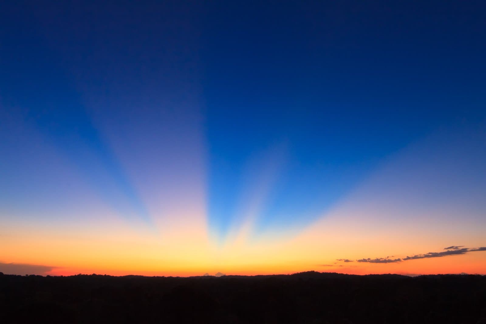 Wenn das Licht Dinge tut, die kein Wetterbericht verspricht. Für solche Momente lohnt sich der frühe Aufbruch. Photo: Alex Da Riva Krepuskuläre Strahlen fächern sich über einen tiefdunkelblauen Dämmerungshimmel auf, über der dunklen Silhouette einer Baumreihe, mit einem lebhaft orange-gelben Leuchten am Horizont