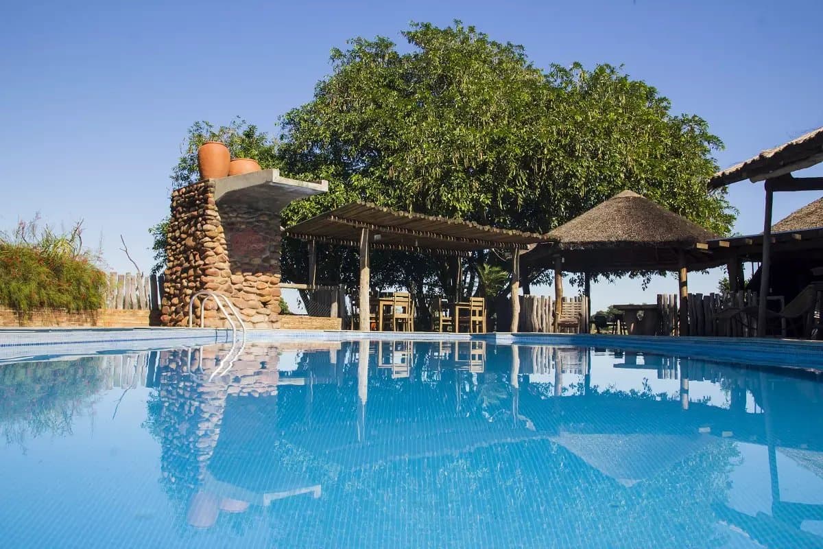Na een dag vol dieren en hitte voelt dit water als welverdiende rust. Buitenzwembad van een Pantanal-lodge met een stenen waterornament met kleikruiken, een overdekte eetpergola, rieten parasols en een grote boom die weerspiegelt in het rustige blauwe water