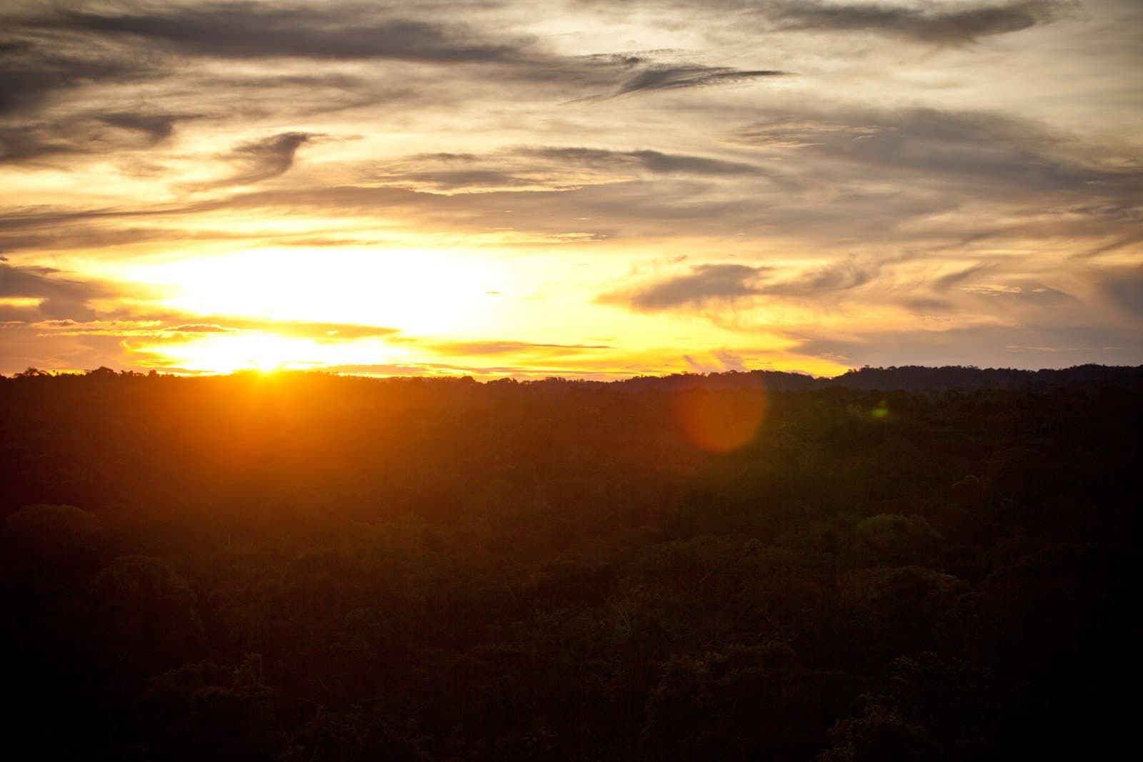 Der Wald endet nicht, die Sonne auch nicht, erst nach diesem Moment. Photo: Samuel Melim Goldener Sonnenuntergang über dem dichten tropischen Walddach auf einer Luxus-Pantanal-und-Amazonas-Reise, mit dramatischen Wolkenstreifen am weiten Himmel