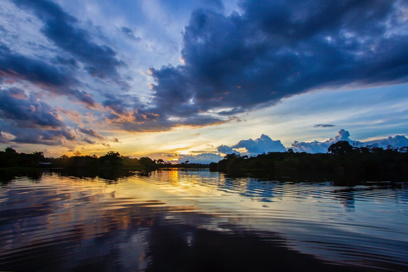 De lucht trekt alle registers open; de rivier vangt het op. Photo: David Nascimento @ Gouden zonsondergang boven een brede tropische rivier tijdens een Amazon en Pantanal tour, met diepe blauwe onweerswolken weerspiegeld in het stille water en het silhouet van dicht bos aan beide oevers