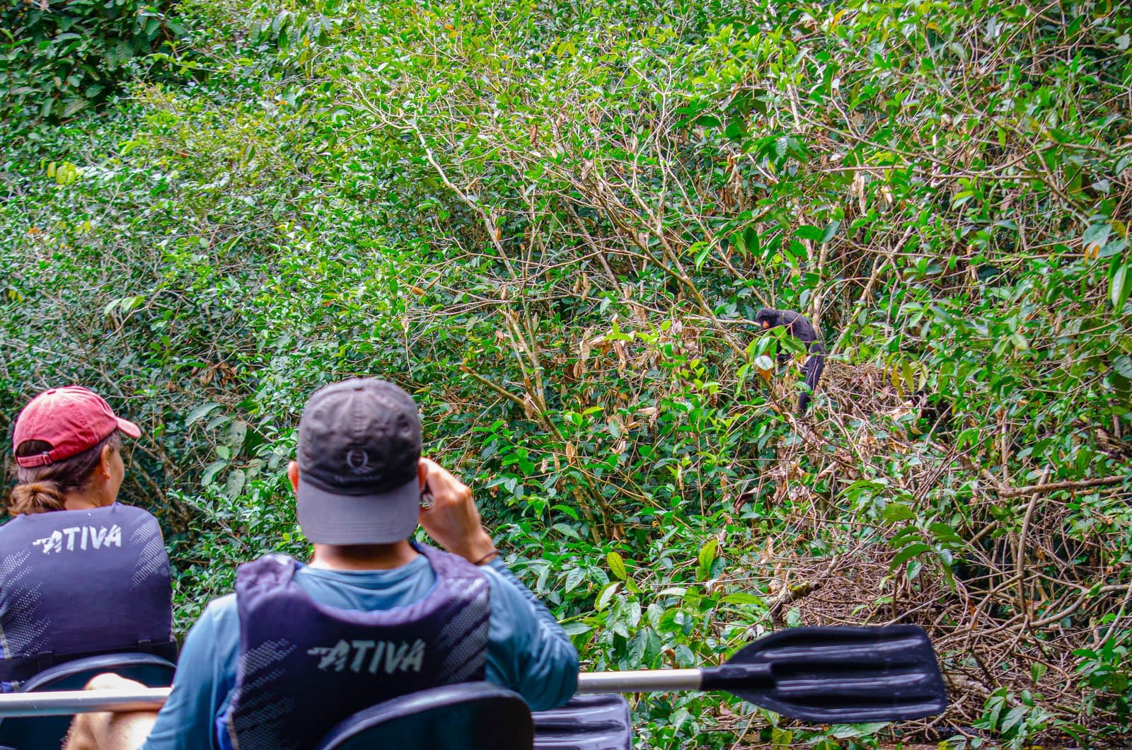 Nah genug, um das Rascheln der Äste zu hören. Kein Teleobjektiv nötig. Photo: Samuel Melim Zwei Gäste in Schwimmwesten im Kanu beobachten auf ihrer Luxury Pantanal and Amazon Trip einen dunklen Affen, der sich durch dichtes Ufergebüsch bewegt