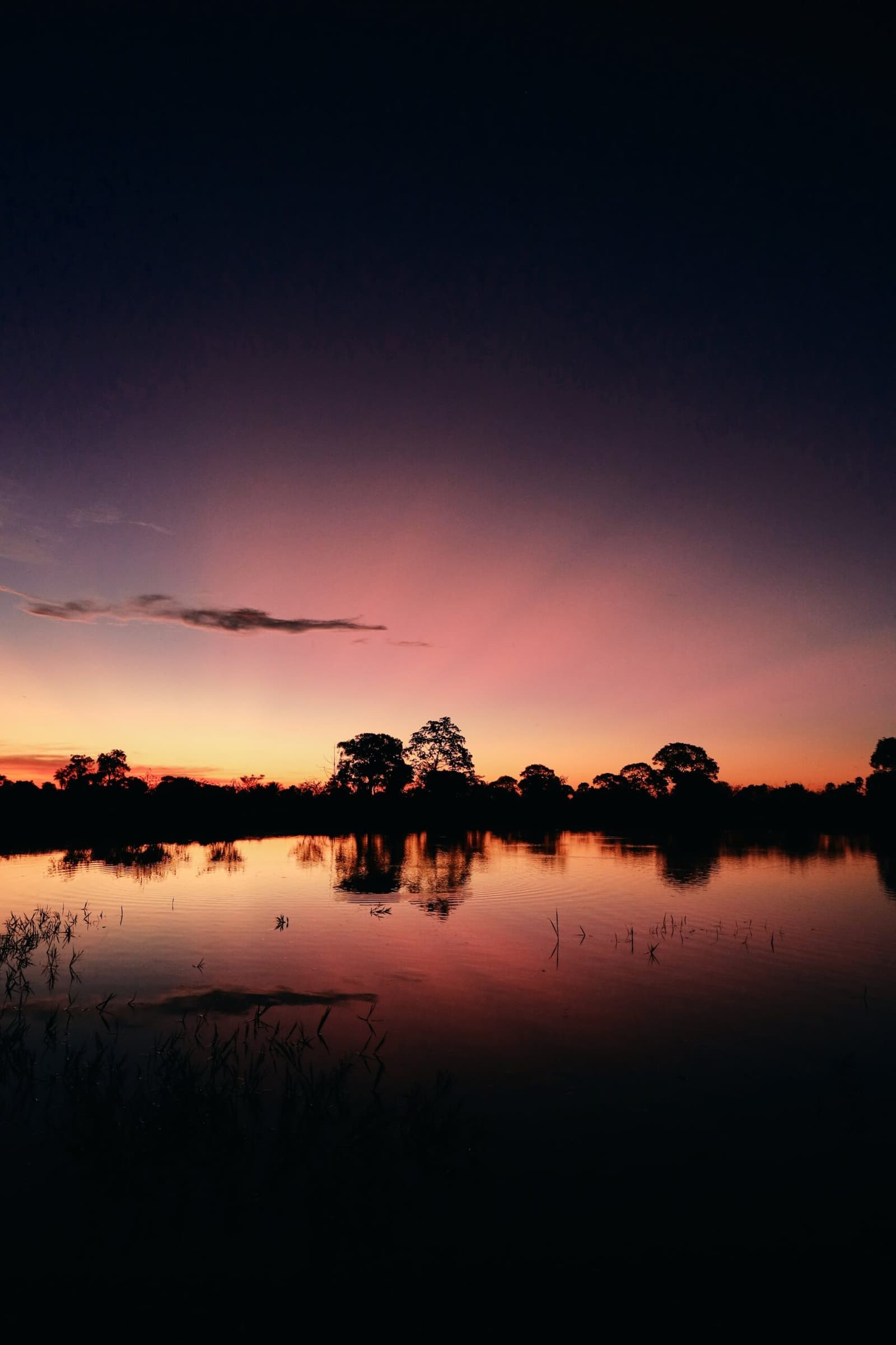 Rosahimmel, spiegelglattes Wasser, das Pantanal kurz vor der Nacht. Photo: thiagolbrito Orangefarbener und rosafarbener Abendhimmel spiegelt sich in einem ruhigen Feuchtgebietssee, mit siluettierten Bäumen am gegenüberliegenden Ufer