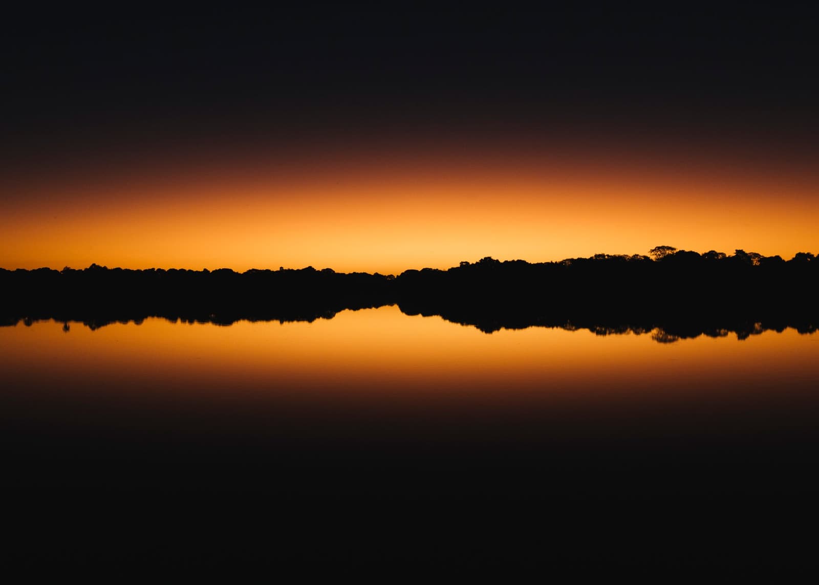 Die Stunde, in der das Wasser oben und unten vergisst. Tiefes Bernsteingleuchten eines Sonnenuntergangs, bei dem eine Baumsilhouette auf einem spiegelglatten Fluss perfekt gespiegelt wird – aufgenommen auf einer Luxusreise ins Pantanal und den Amazonas