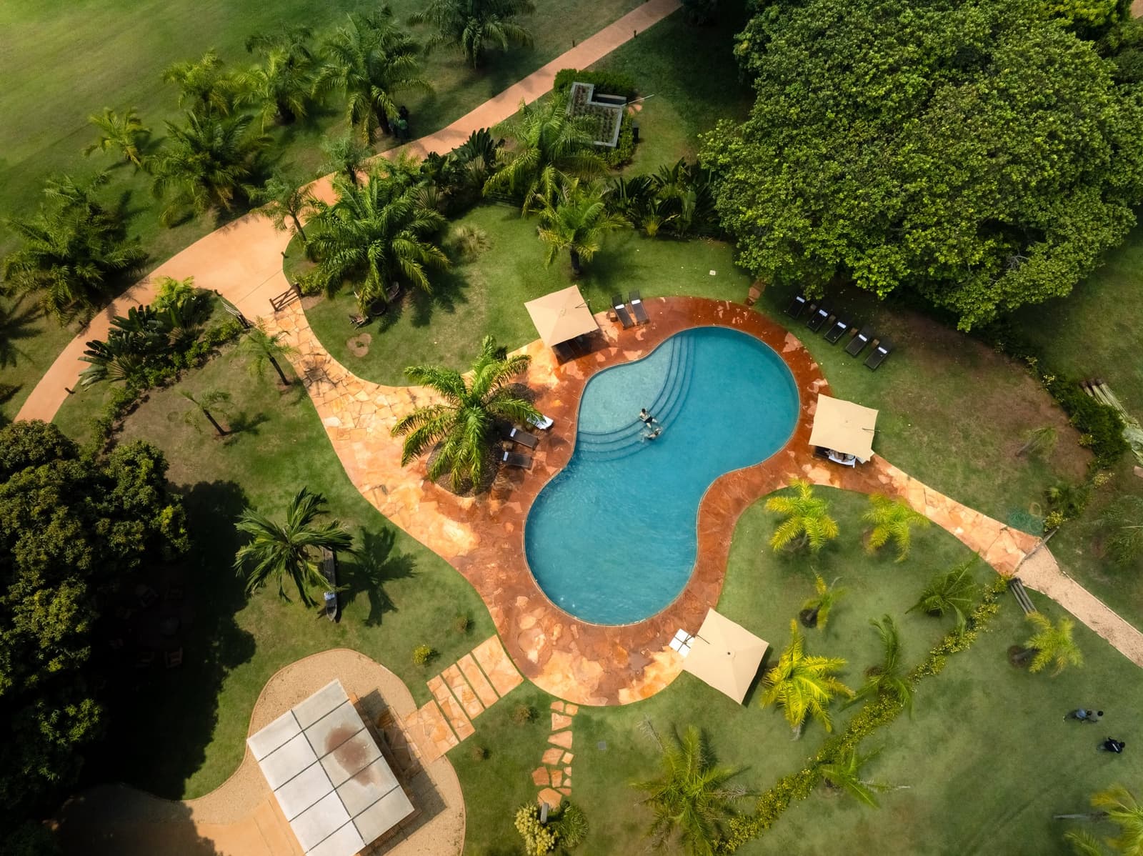 Nach dem Morgen-Safari: rein ins kühle Blau. Photo: Matias Ternes Luftaufnahme eines freiförmigen türkisfarbenen Swimmingpools mit Terrakotta-Steinplatten, Liegestühlen, Sonnenschirmen und üppigem Tropengarten in einer Luxuslodge im Pantanal