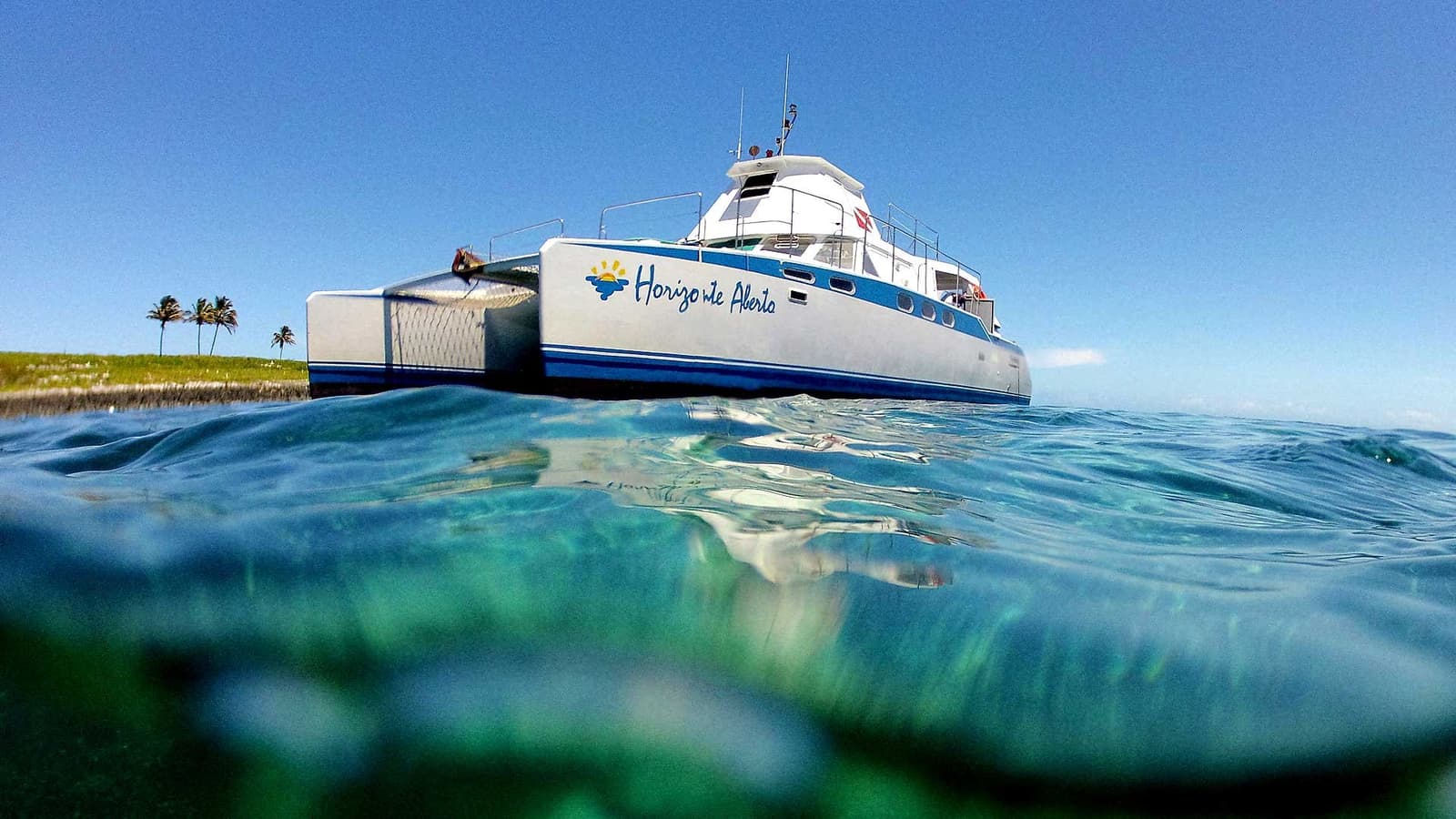 Half in, half out, the fish-eye view of life aboard the Horizonte Aberto. The liveaboard Abrolhos catamaran Horizonte Aberto photographed from water level, with crystal-clear green water in the foreground and palm-lined coast behind