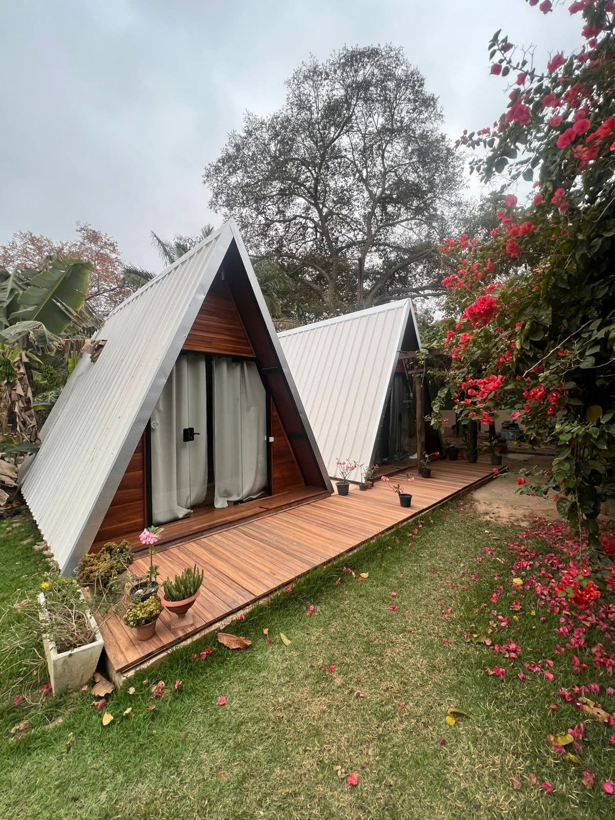 Your base between river days: simple, comfortable, and covered in bougainvillea petals. Photo 1