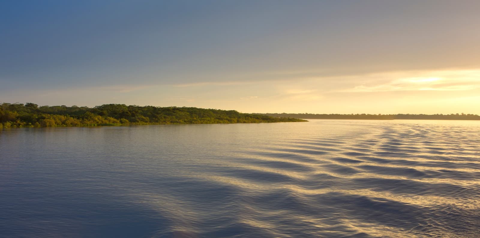 A quest'ora il fiume non chiede nulla. Basta guardare. Photo: piccaya Acque ampie e calme del Rio Negro nell'ora d'oro durante la crociera La Jangada in Amazzonia, con una riva boscosa bassa che si estende fino all'orizzonte sotto un cielo caldo e luminoso