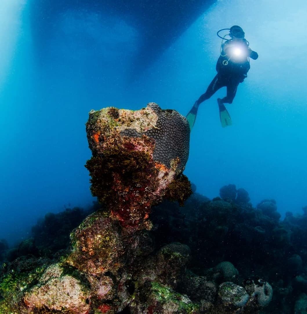 The sponge got here first, and it knows it. A scuba diver with a torch hovers in blue water above a large barrel sponge and encrusted reef formations during a liveaboard Abrolhos dive