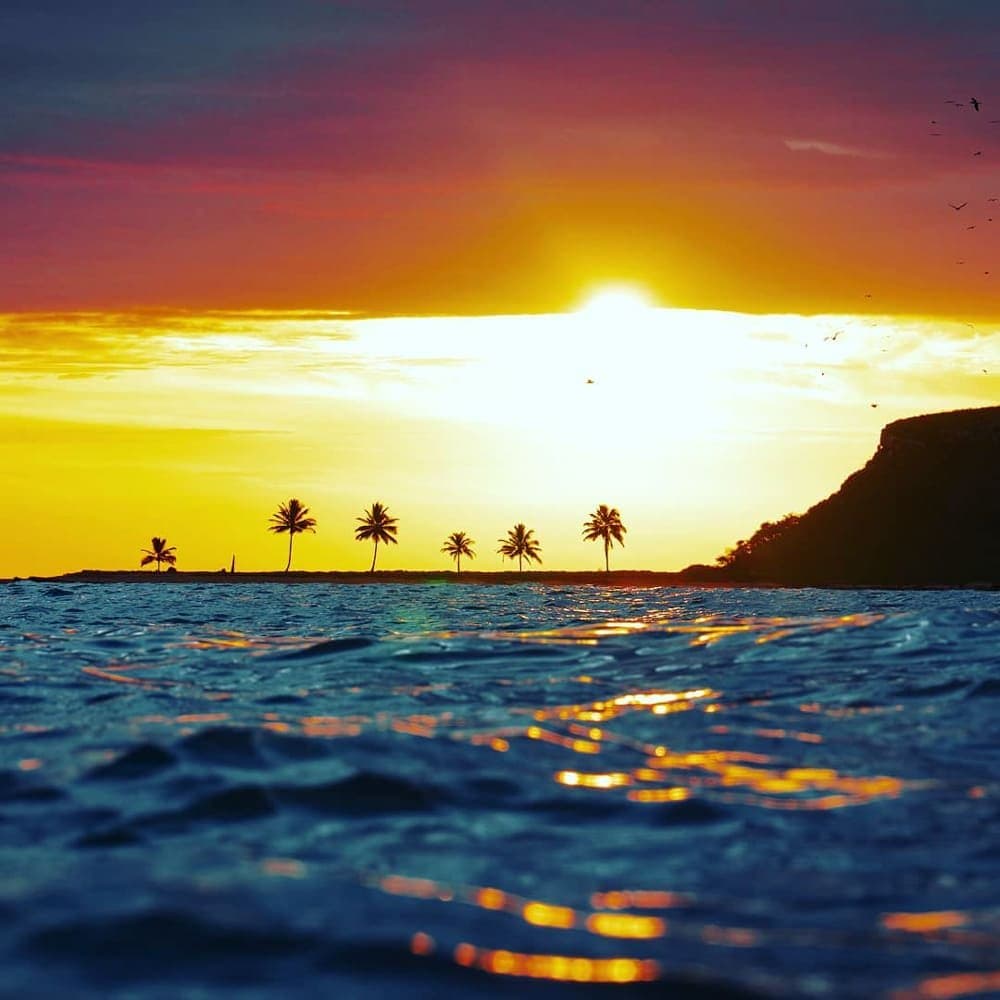 Shot from the water, because some light deserves that perspective. Water-level view of a golden sunset over the Abrolhos archipelago, with palm tree silhouettes on a low islet, seabirds in flight, and a rocky headland to the right reflected in the rippling sea surface — the setting for a liveaboard Abrolhos expedition.