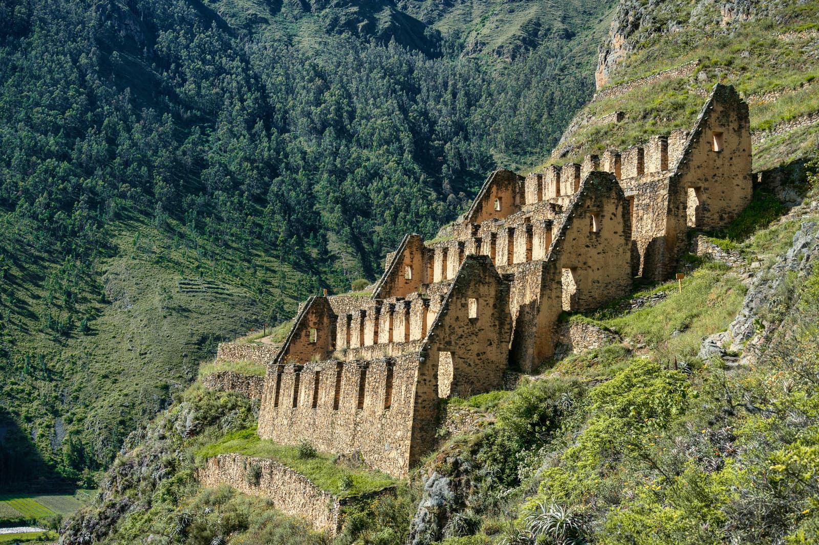 Built to last, and largely succeeding. Ollantaytambo's granaries have seen a few empires come and go. Photo: Cristi Croitoru Roofless Inca stone storehouses stepping up a steep green hillside on an Andes mountains tour, with densely forested slopes filling the valley behind