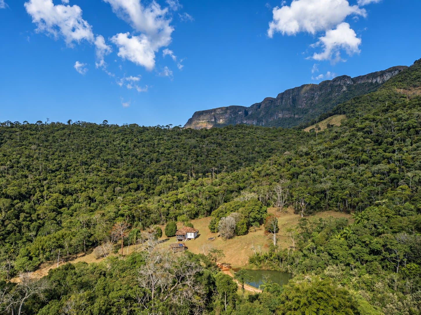 Six mille hectares, une toute petite maison. La forêt remet vite les choses à leur place. Vue aérienne d'une petite ferme blanche et d'un étang nichés dans une vallée de forêt atlantique dense de l'Ibiti Project, avec des escarpements rocheux à sommet plat s'élevant au-dessus de la canopée sous un ciel bleu