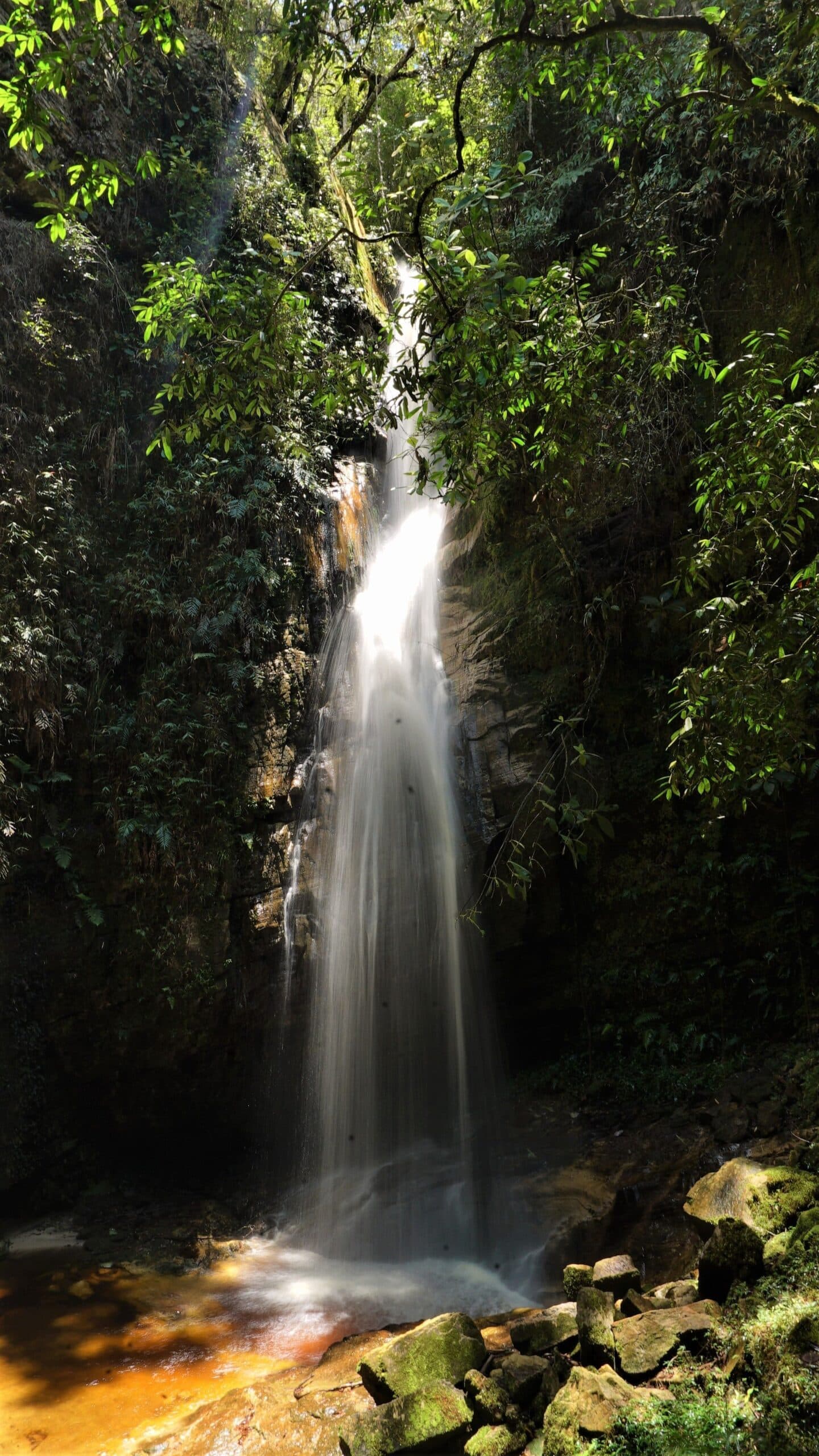 Kühl, dunkel und laut genug, um alles andere zu vergessen. Ein hoher, seidenweicher Wasserfall stürzt durch eine enge Felsschlucht, umgeben von dichter atlantischer Waldvegetation, und sammelt sich in tanningetränktem Wasser über moosbedeckten Felsbrocken im Ibiti-Projektreservat